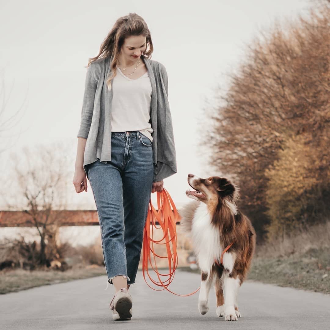 Die Schleppleine im Hundetraining