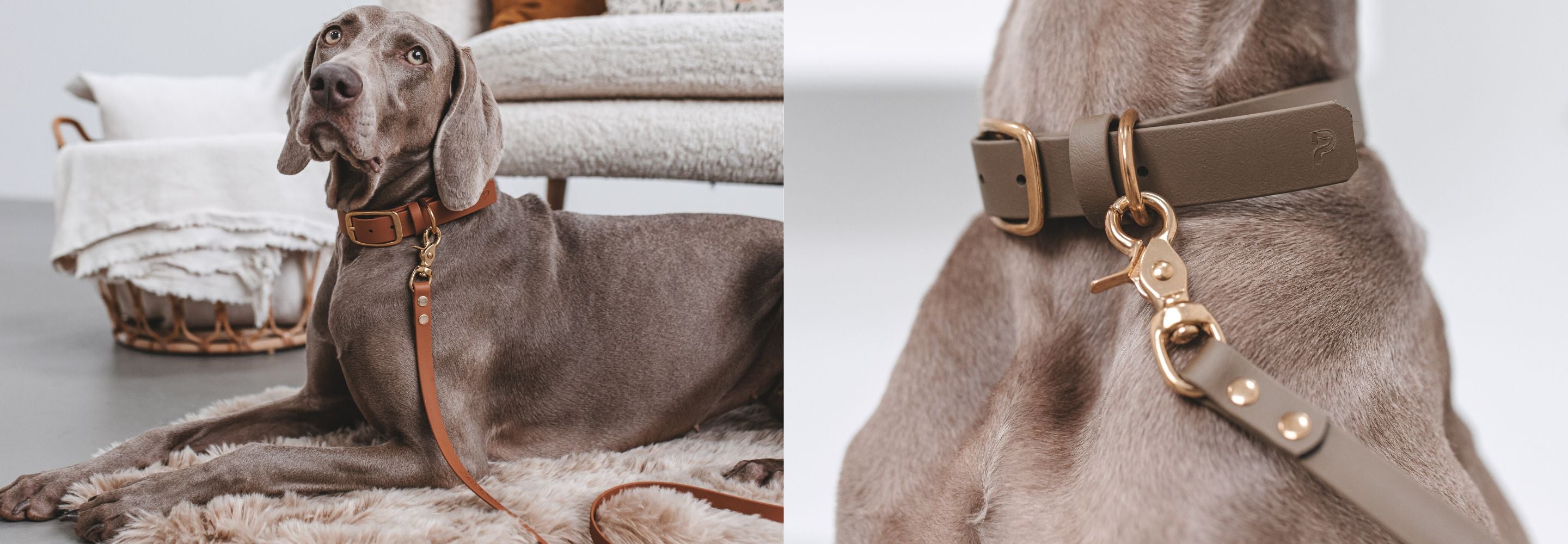 Halsband-Leine-Sets aus Biothane