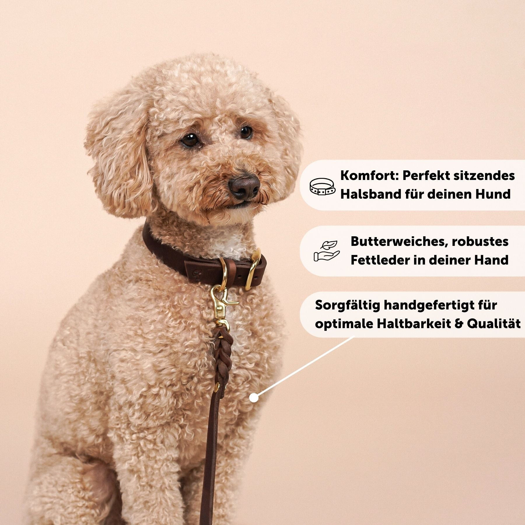 Personalisierbares Lederhalsband mit Name | Kastanie