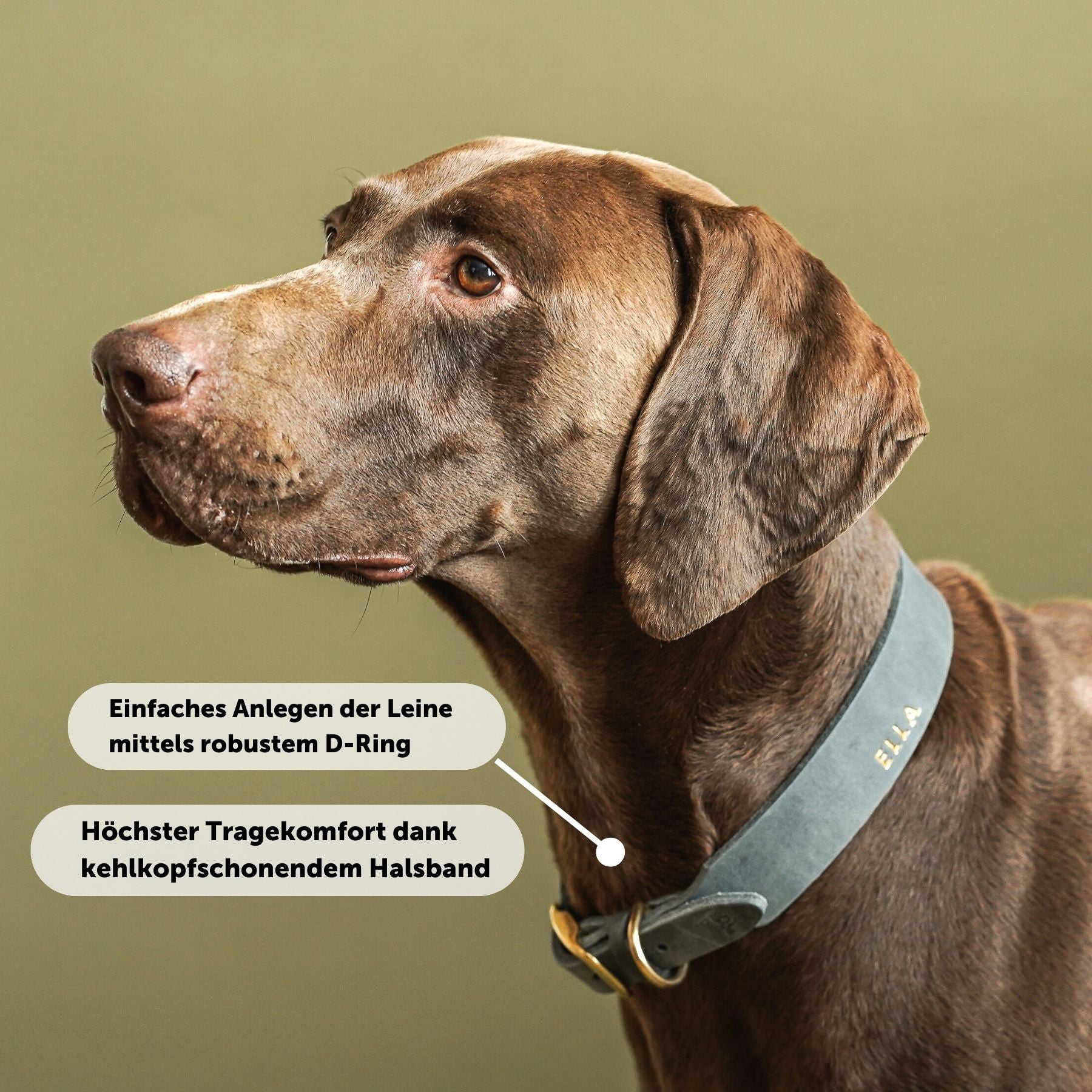 Set | Lederhalsband & Leine in Steingrau