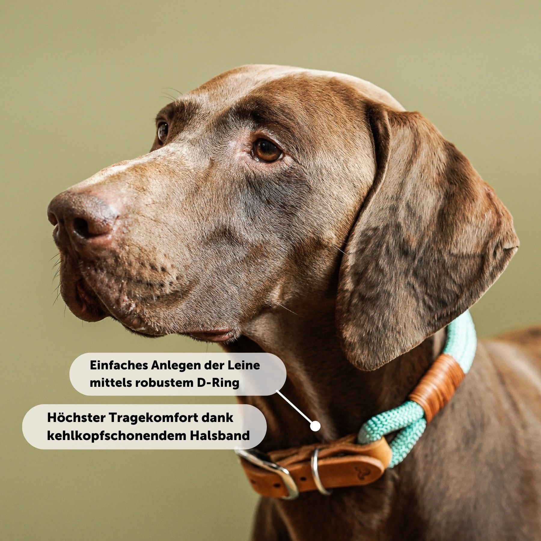 B:Ware | Tauhalsband 'Livio'