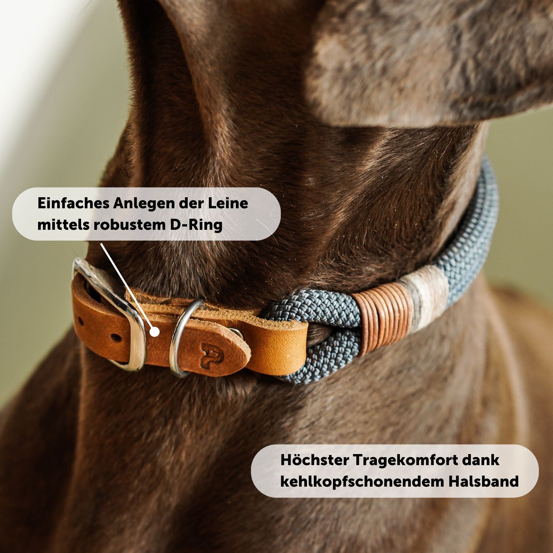 Set | Halsband & Leine 'Vienna'