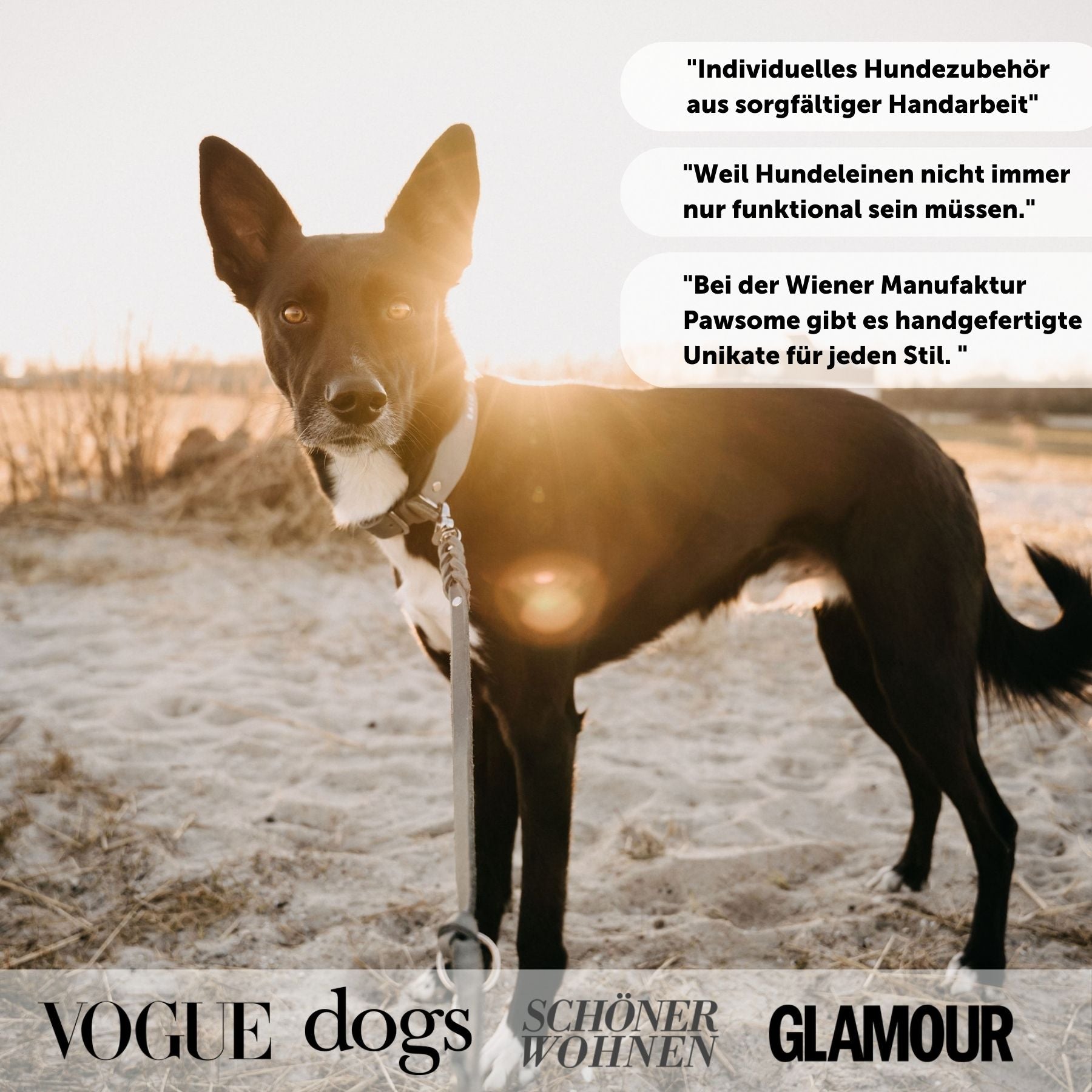 Set | Lederhalsband & Leine in Steingrau