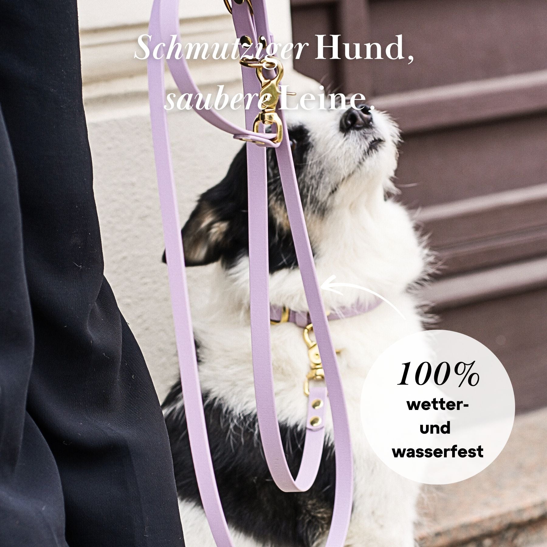 Set | Halsband & Leine aus Biothane® 'Lavendel'