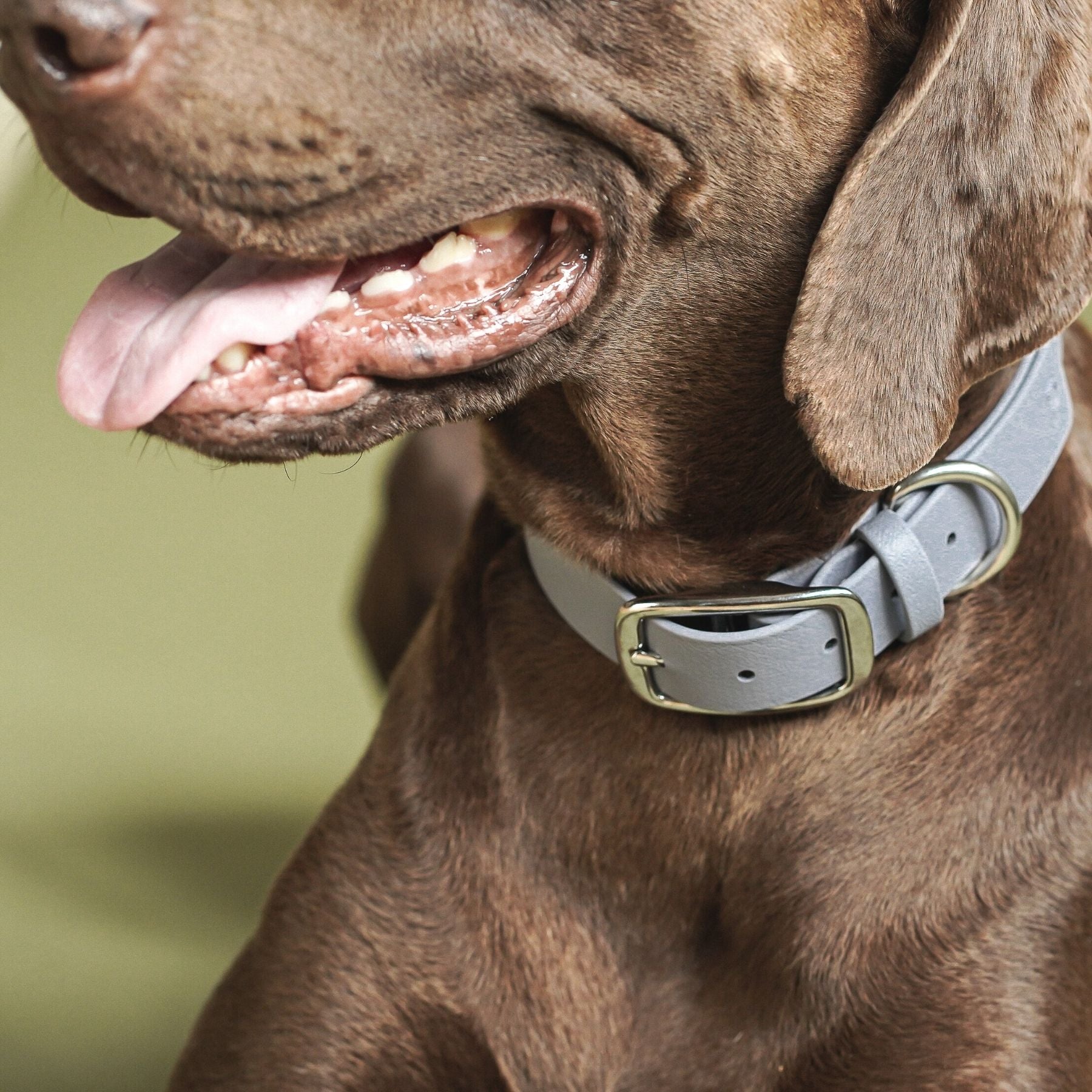 Biothane® Halsband 'Stahlgrau'
