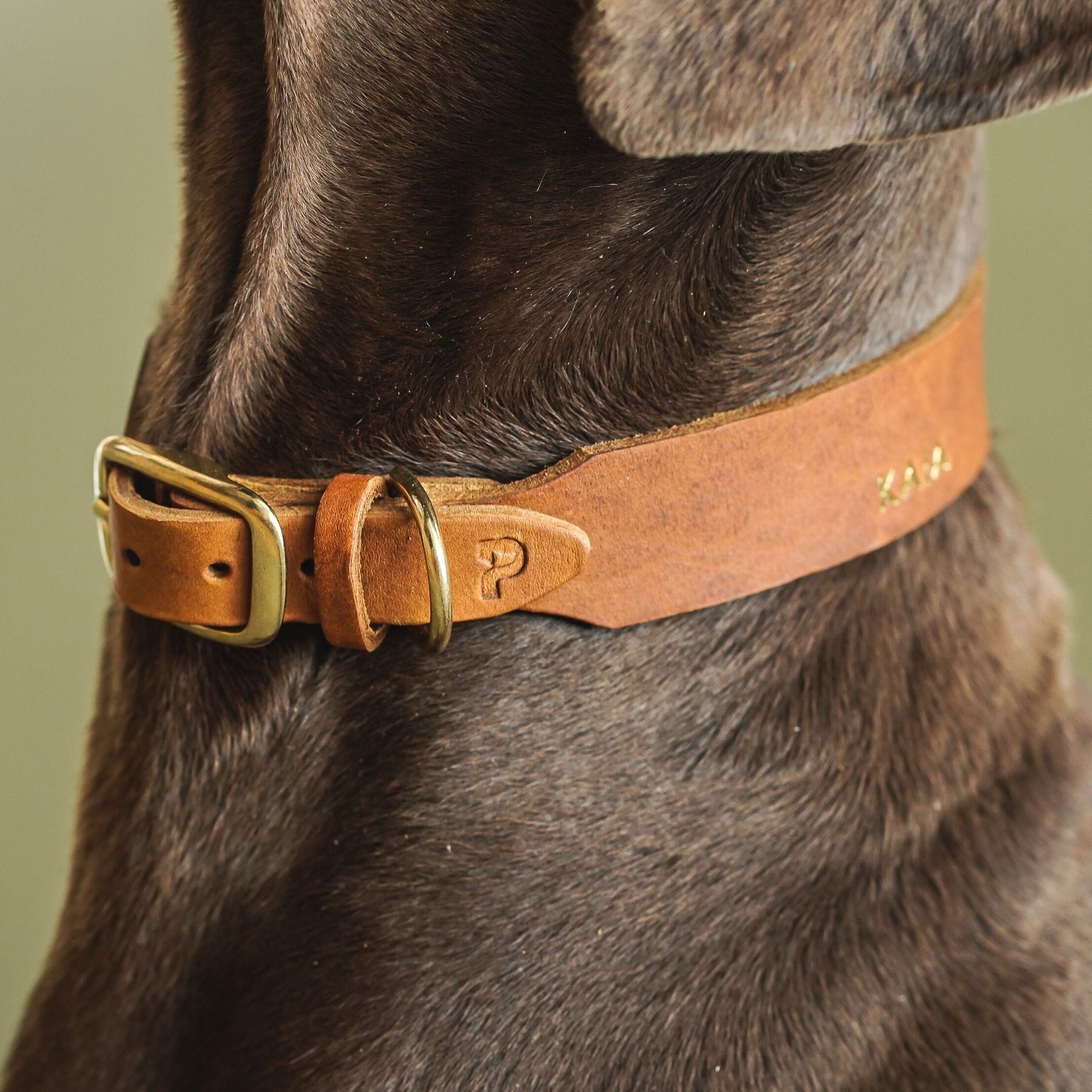 Bundle | Tauleine 'Forest Green' + Schleckmatte zur Beschäftigung (+ GRATIS Halsband mit Gravur)