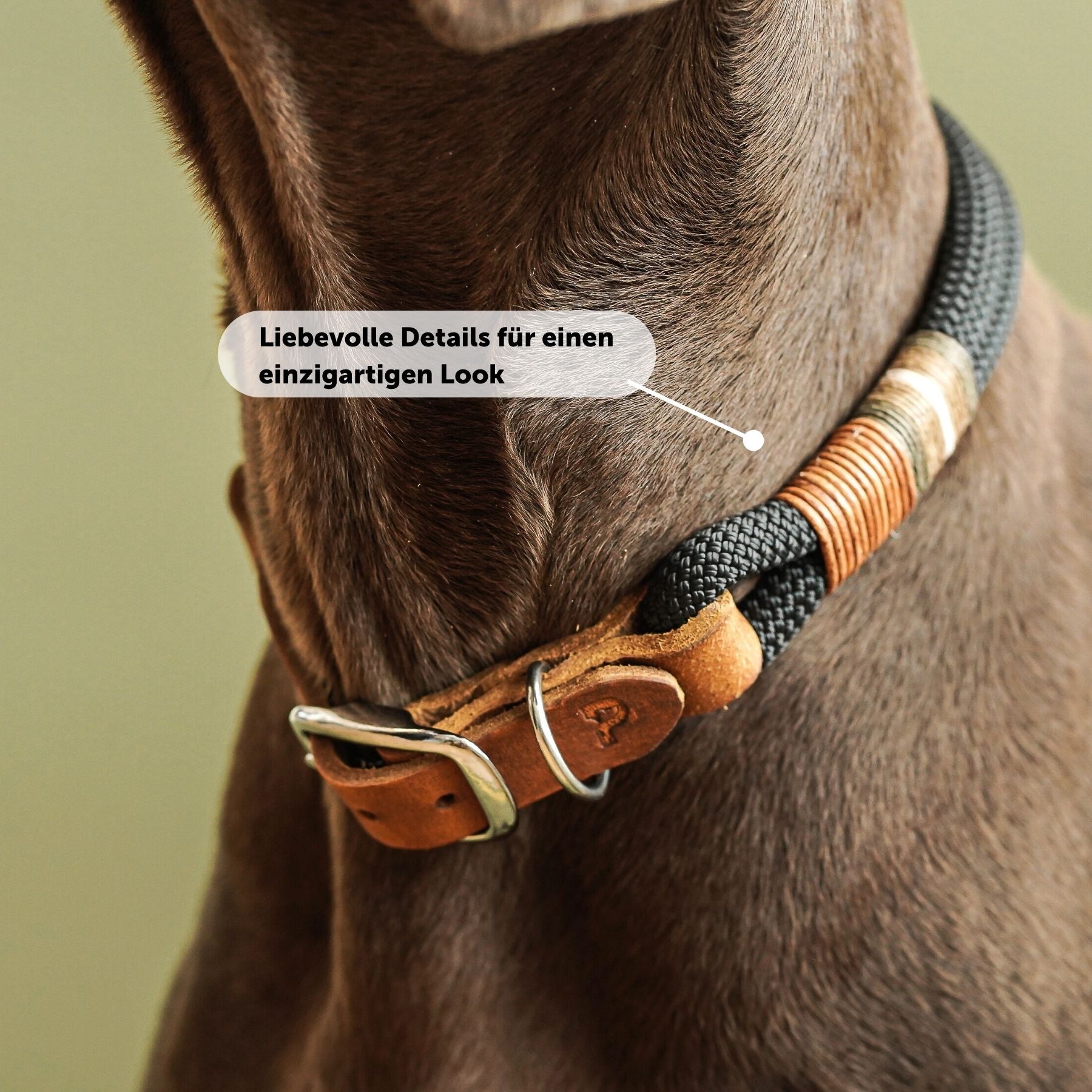 Tauhalsband 'Berlin'