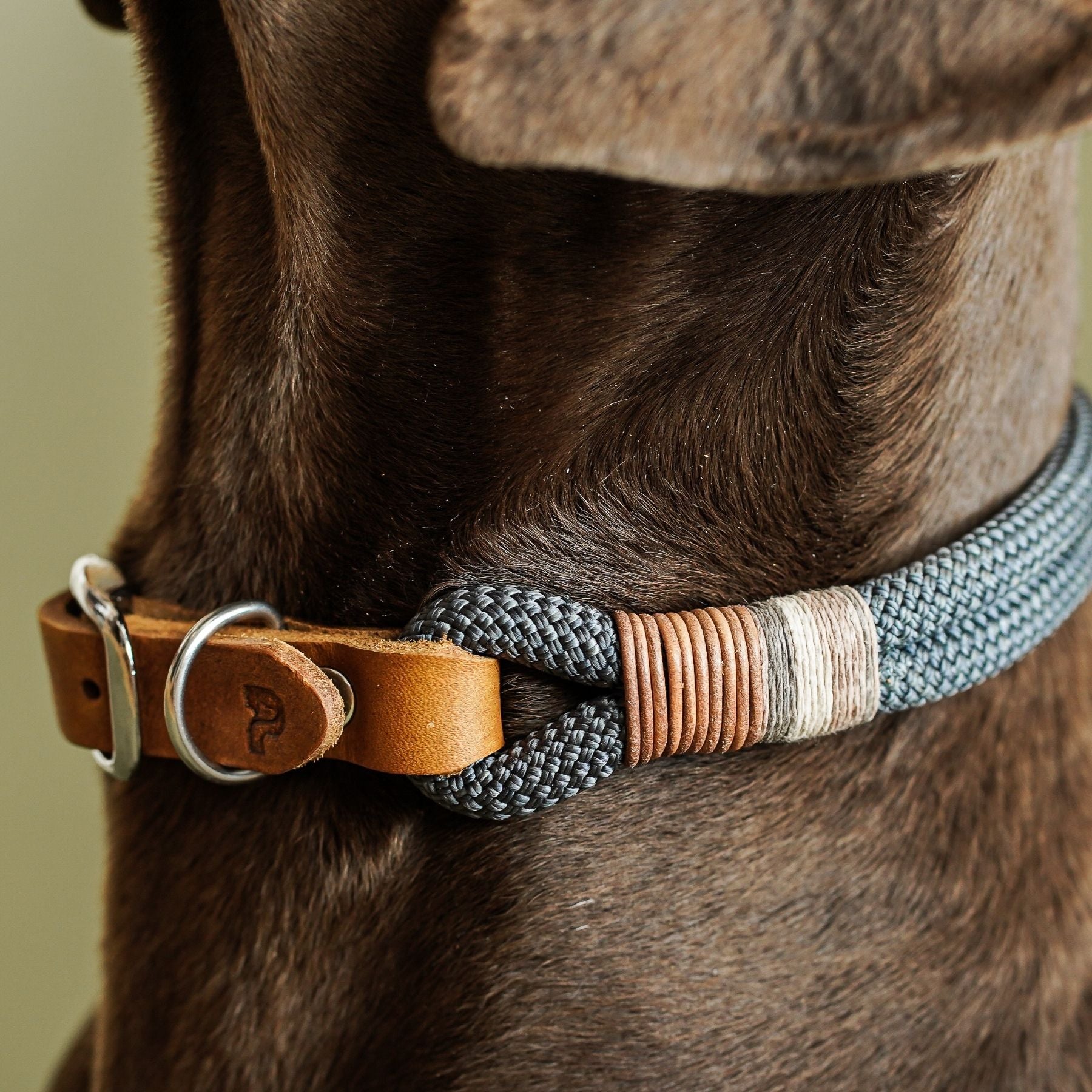 Set | Halsband & Leine 'Vienna'