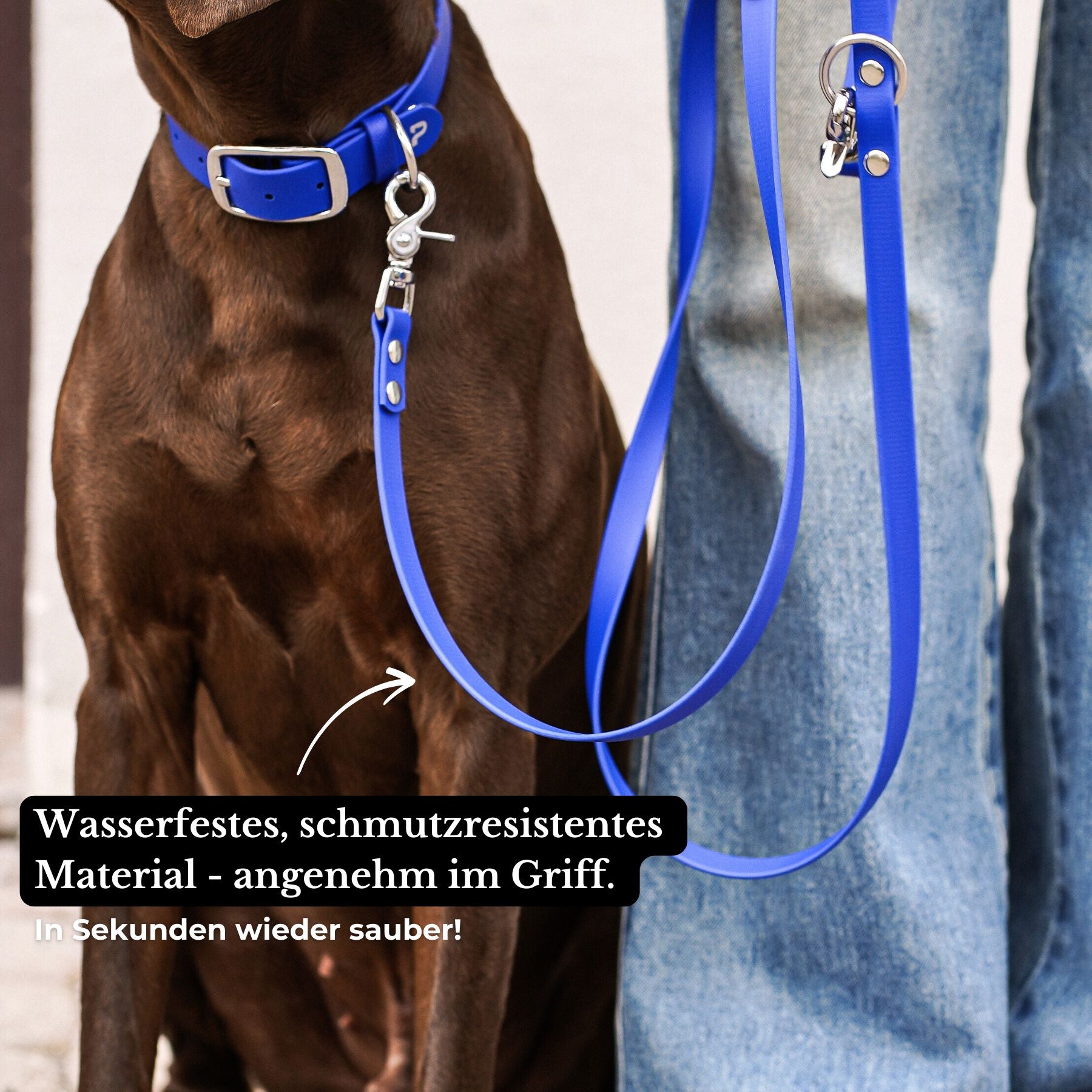 Set | Halsband & Leine aus Biothane® 'Royalblau'