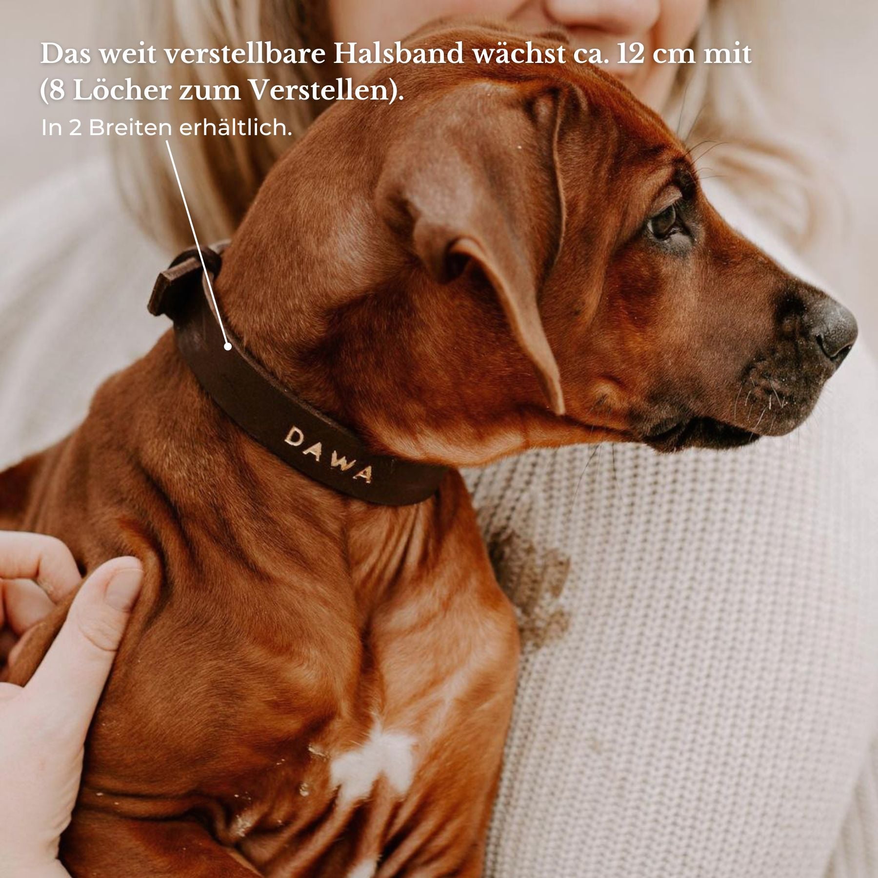 Welpen-Special: Set | Welpenhalsband & Tauleine inkl. 25% Gutschein