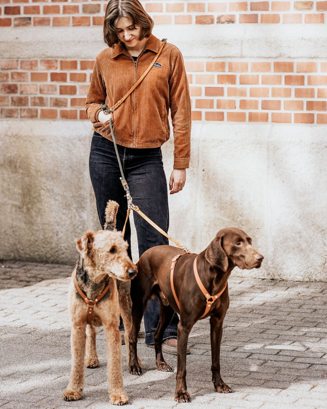 Verbindungsteil aus Leder für 2 Hunde an einer Leine (1 Stück)