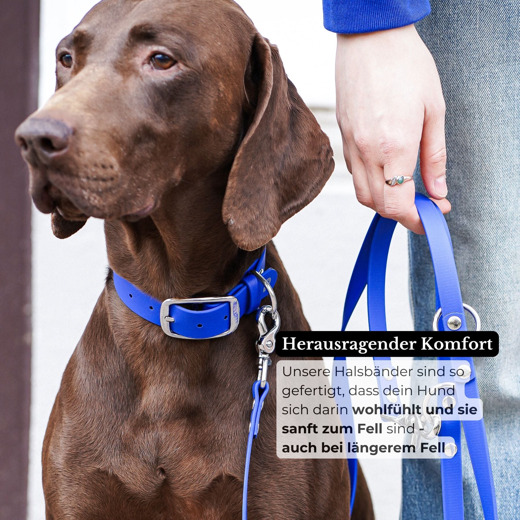 Biothane® Halsband 'Royalblau'