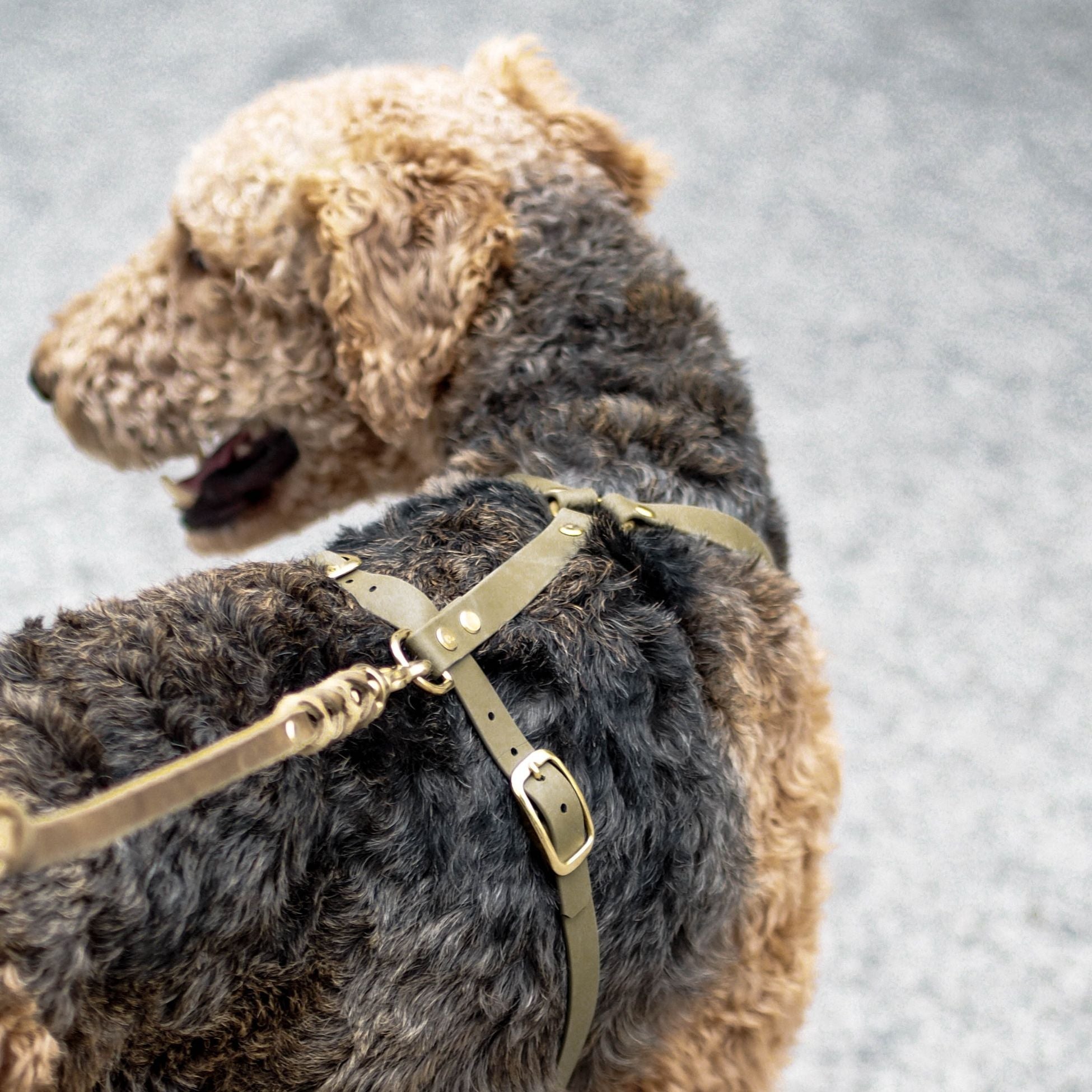 Hundegeschirr aus Biothane 'Mika' | Khaki