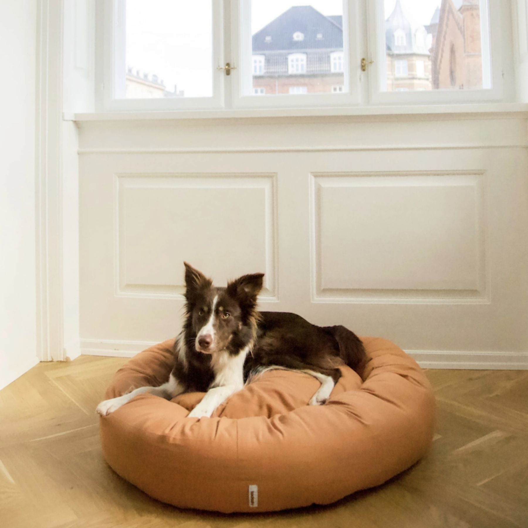 Dieses bequeme Hundebett ist in zwei Farben und drei Größen bei PAWSOME Shop erhältlich. Das Donut-Kissen ist 20cm hoch und der Bezug von beidem ist bis 40 Grad maschinenwaschbar. Dies ist die Farbe Hellbraun.