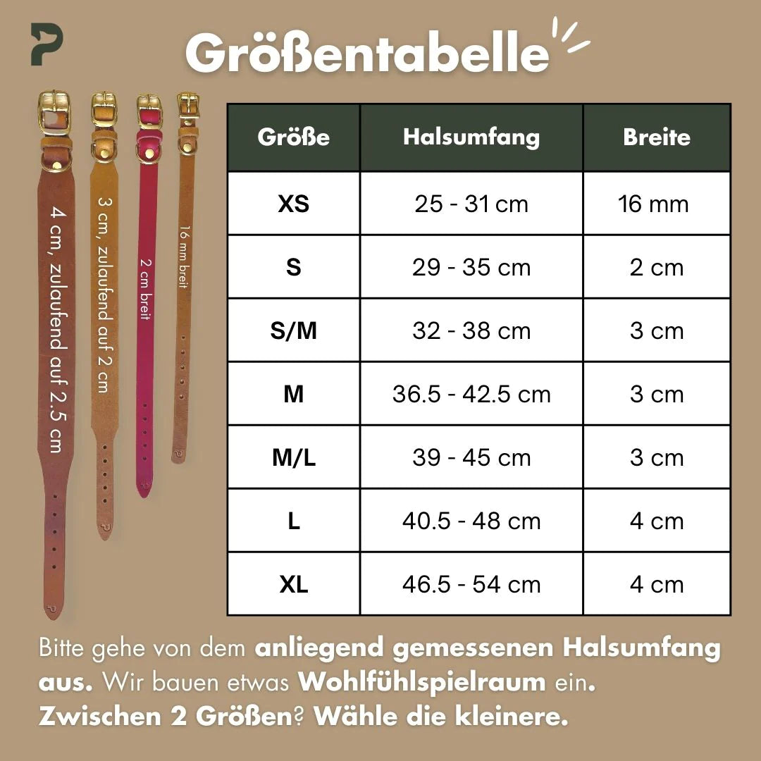 Set | Lederhalsband & Leine in Petrol