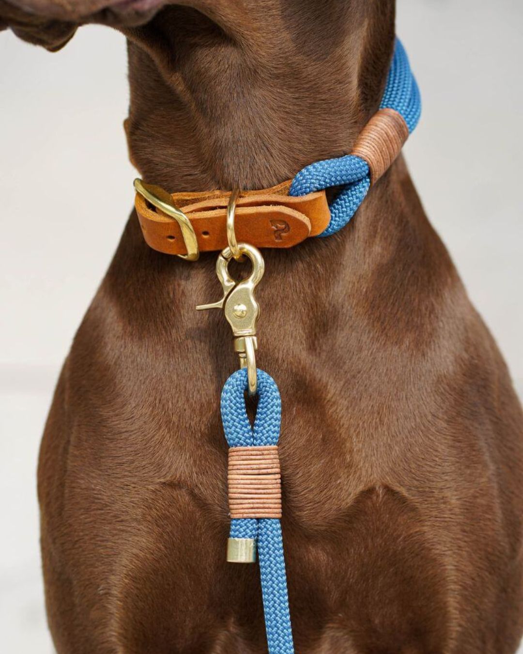 B:Ware | Tauhalsband 'Dusty Blue'
