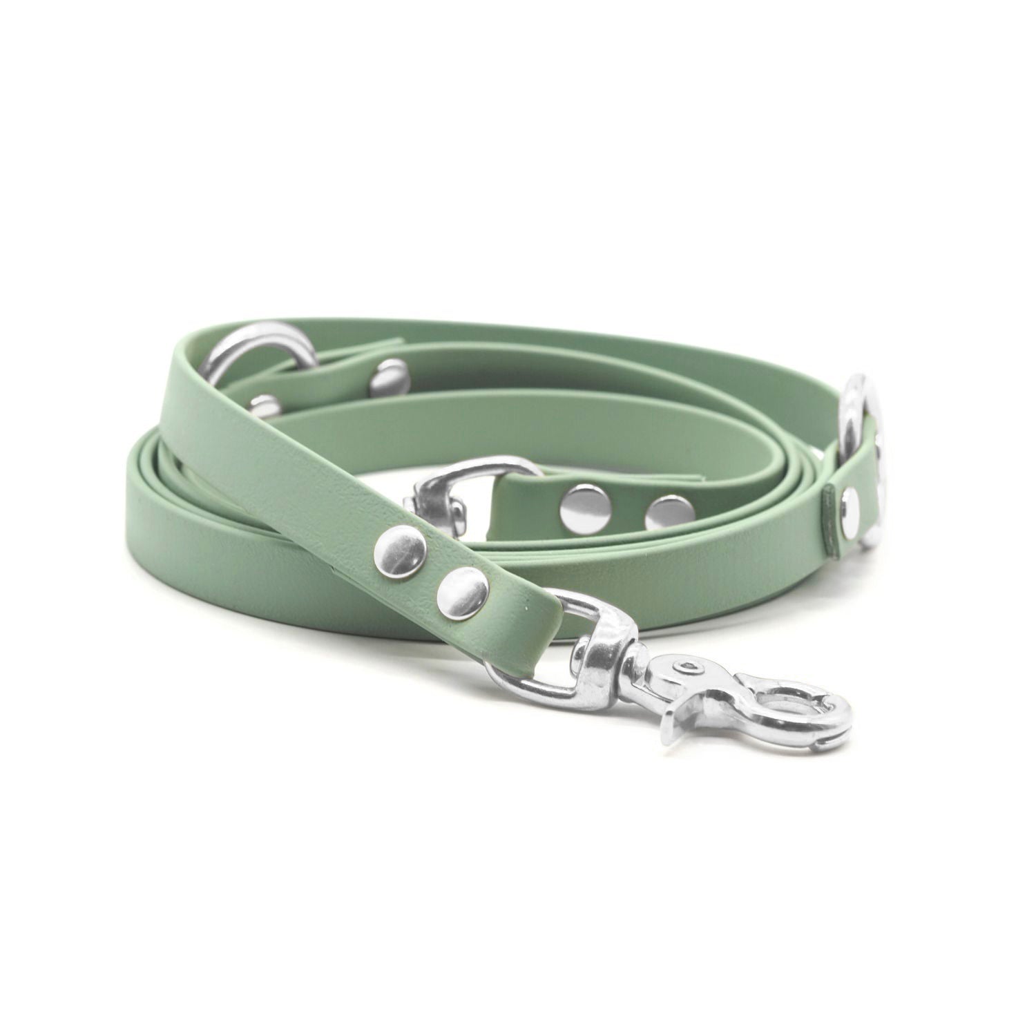 B:Ware | Hundeleine aus Biothane® 'Salbei'