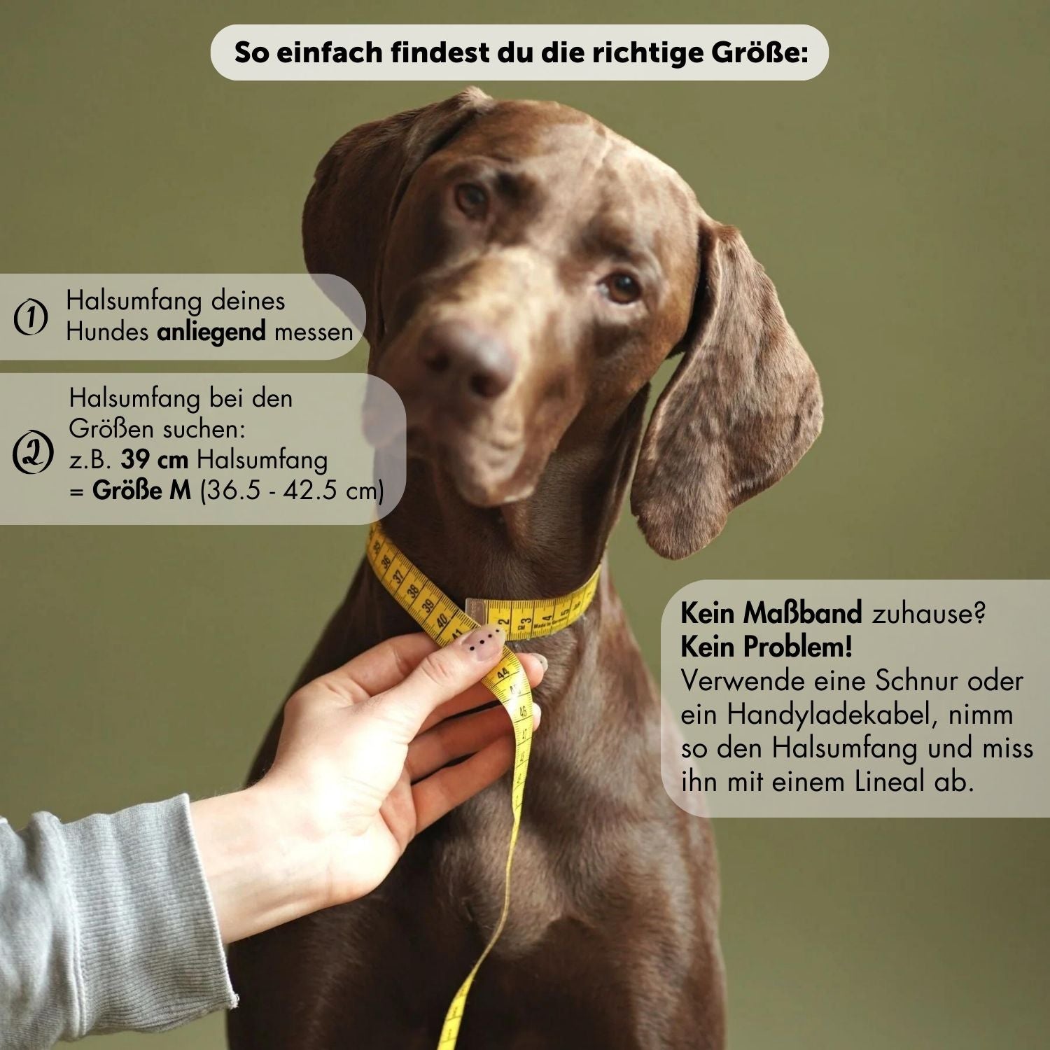Biothane® Halsband 'Khaki'