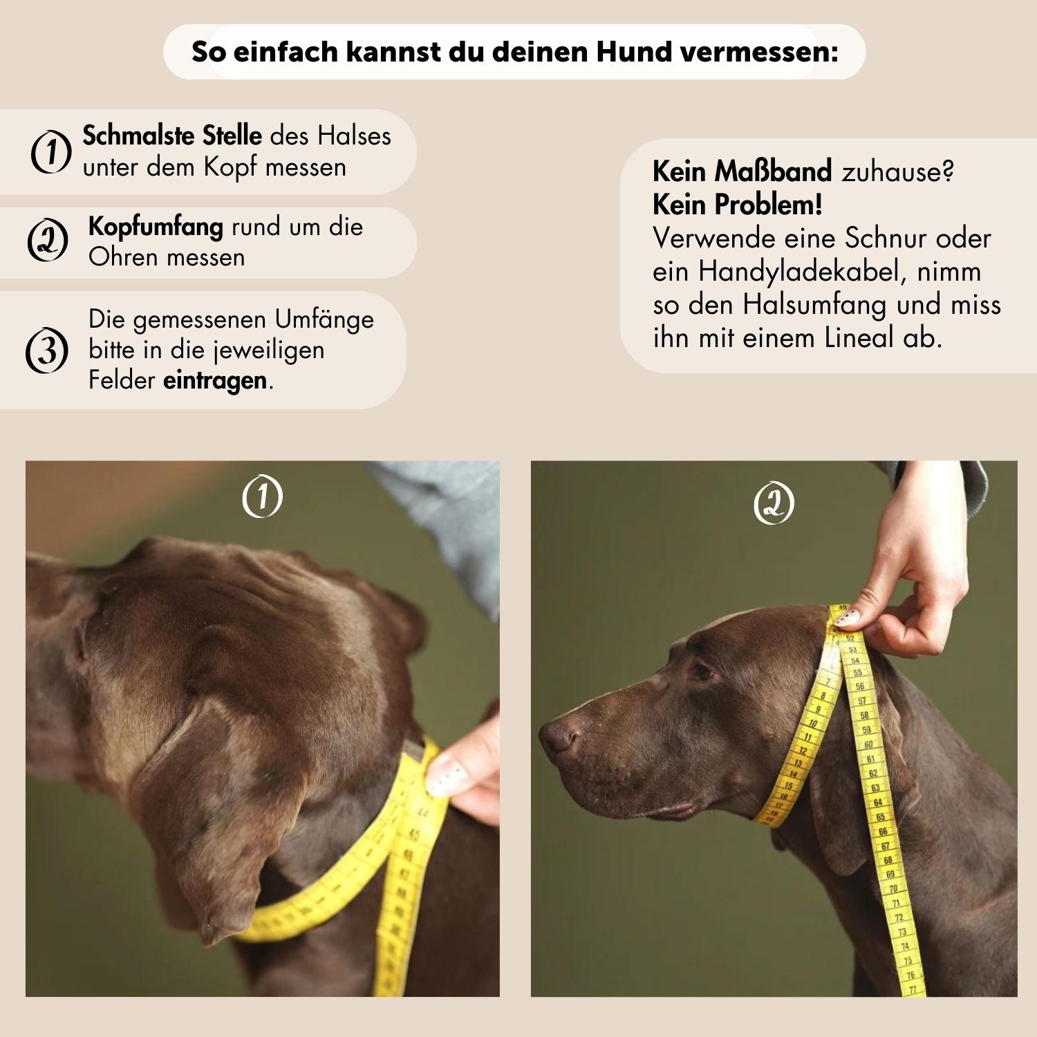 Zugstopp-Halsband aus Fettleder 'Kastanie'