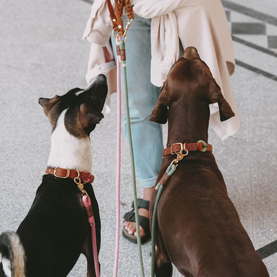 B:Ware | Tauleine 'Cleo' mit Lederhandschlaufe