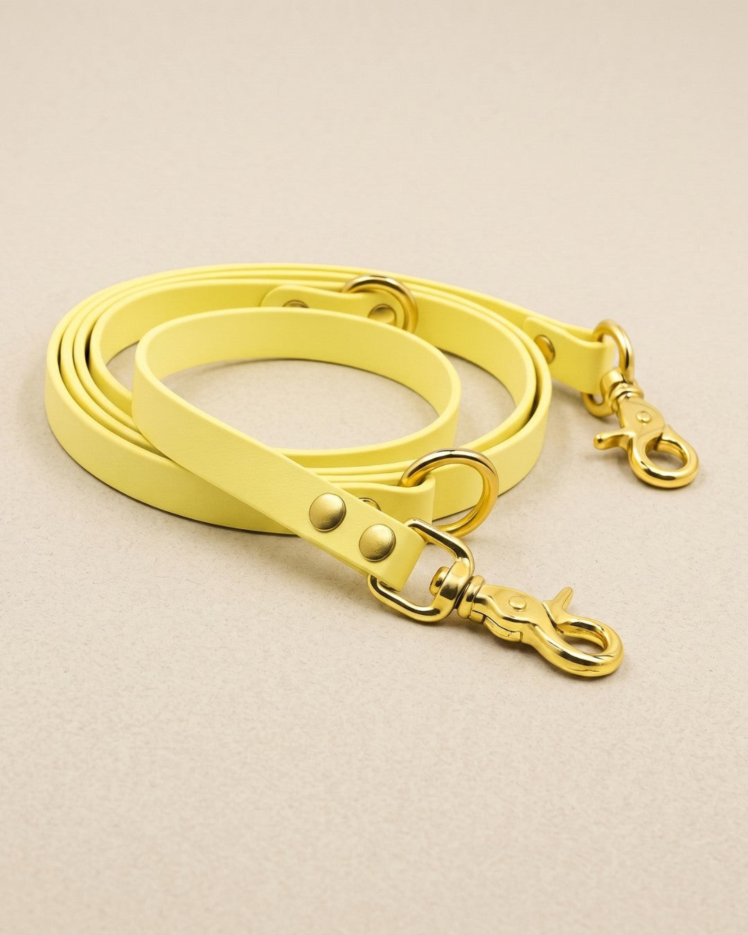 B:Ware | Hundeleine aus Biothane® 'Buttercup'