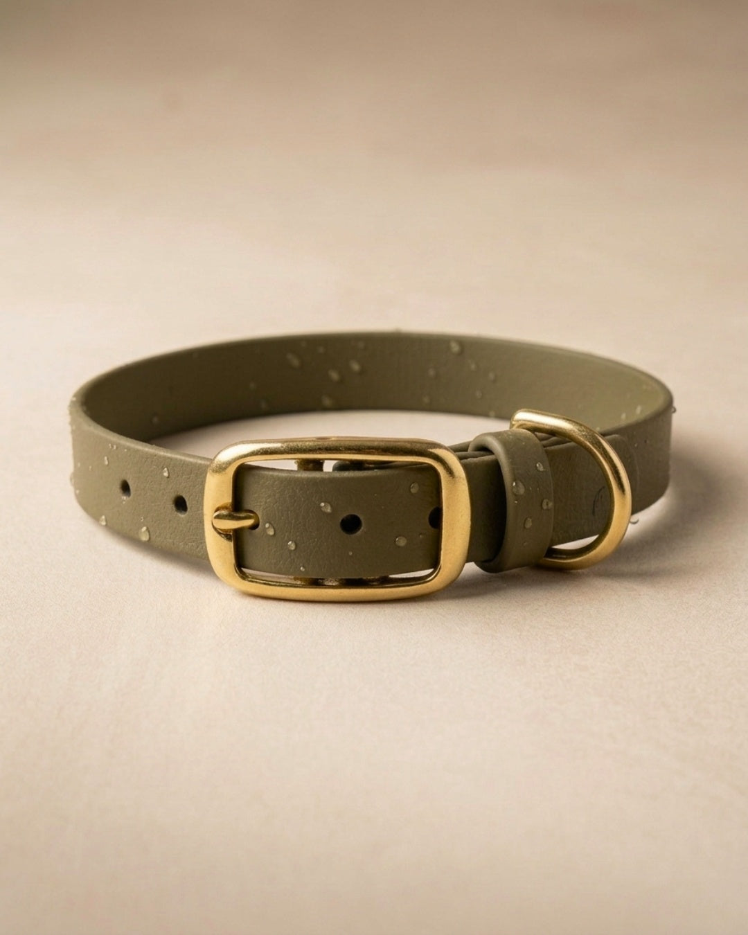 Wasserfestes Biothane-Halsband für den aktiven Hund