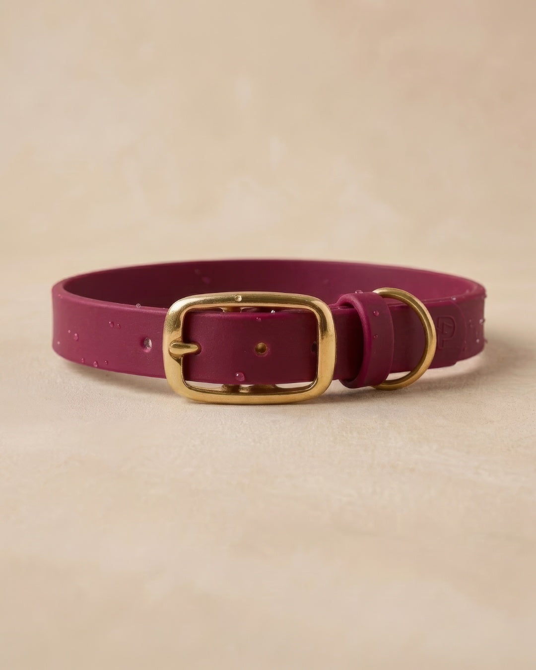 Farbenfrohes Biothane-Hundehalsband - wasserfest & robust