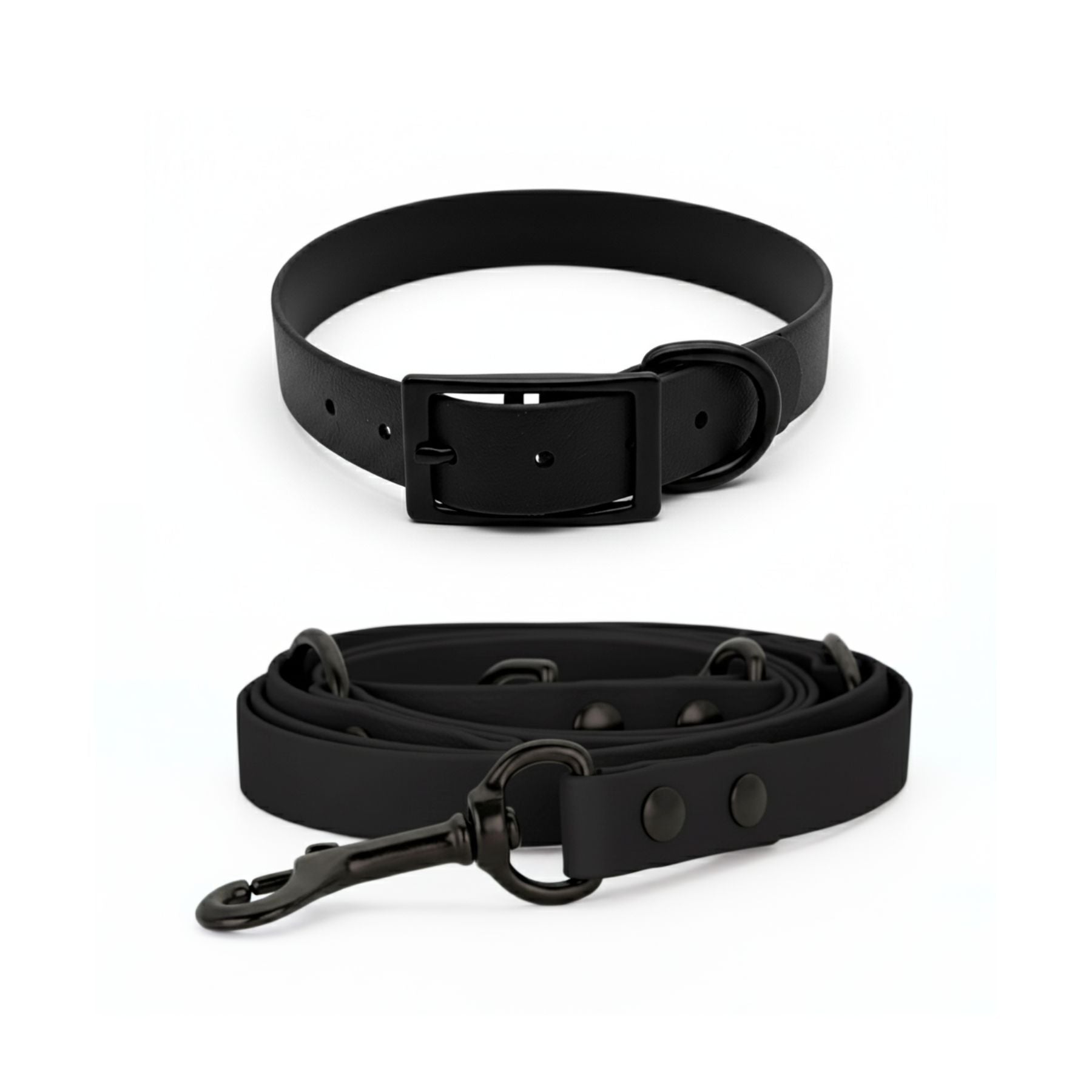 Set | Halsband & Leine aus Biothane® 'All Black'