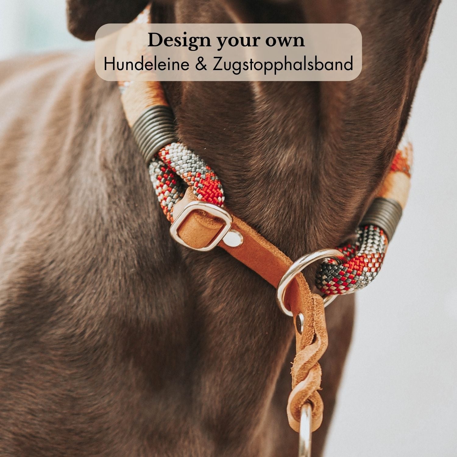 DESIGN YOUR OWN | Zugstopp-Halsband & Leine