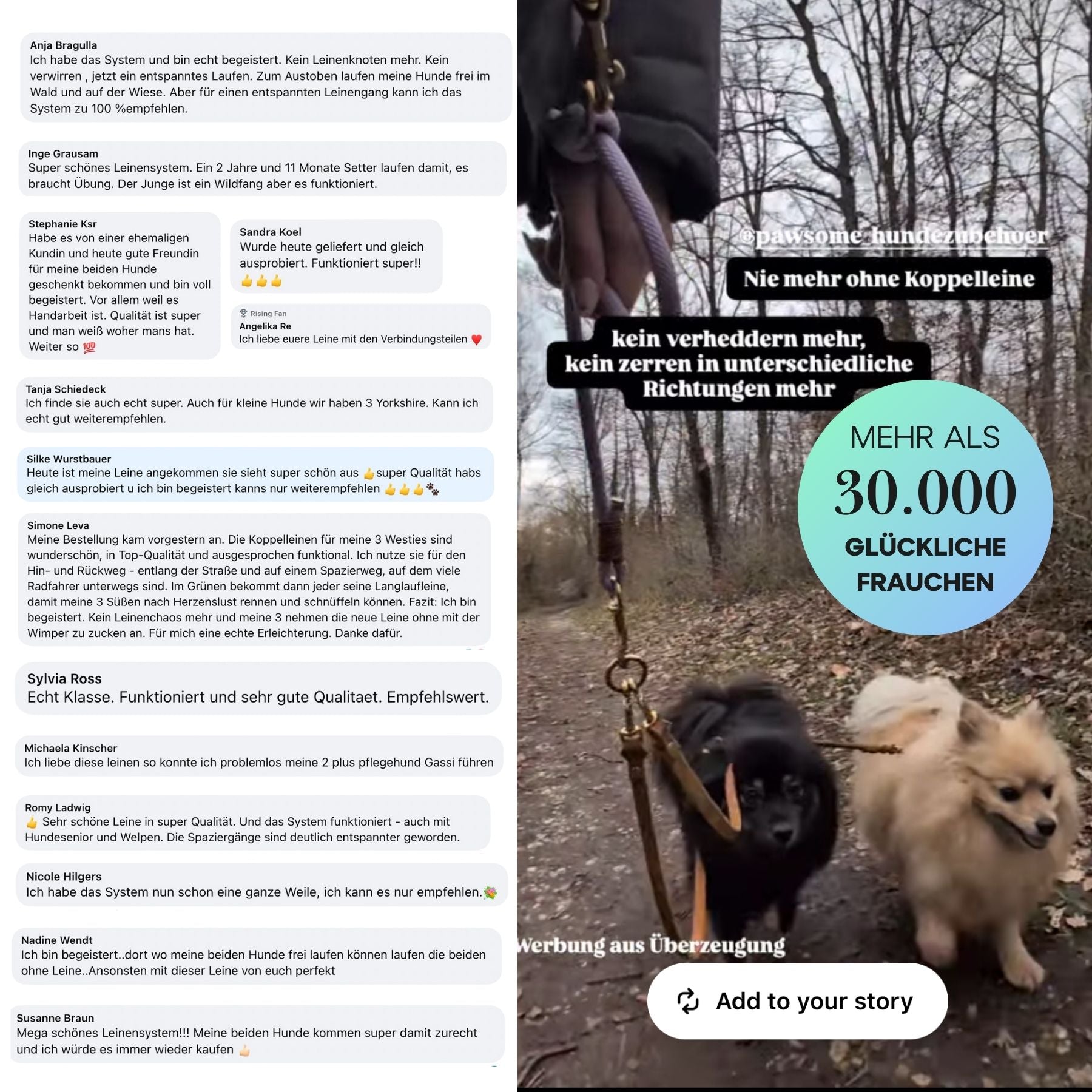 Komplett-Set | 2 Stück Verbindungsteile aus Leder inkl. Ring - für 2 Hunde an einer Leine