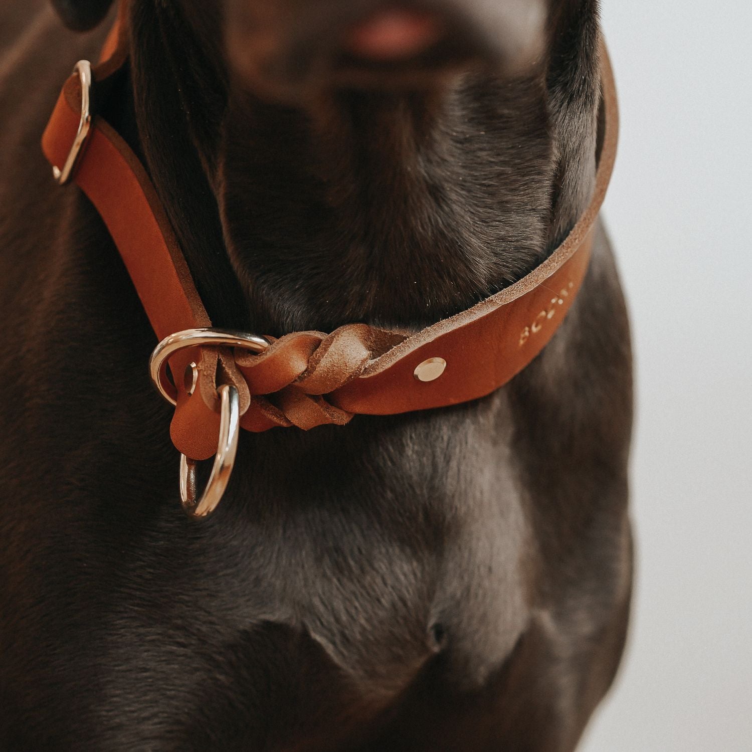 Zugstopp-Halsband aus Fettleder 'Cognac'