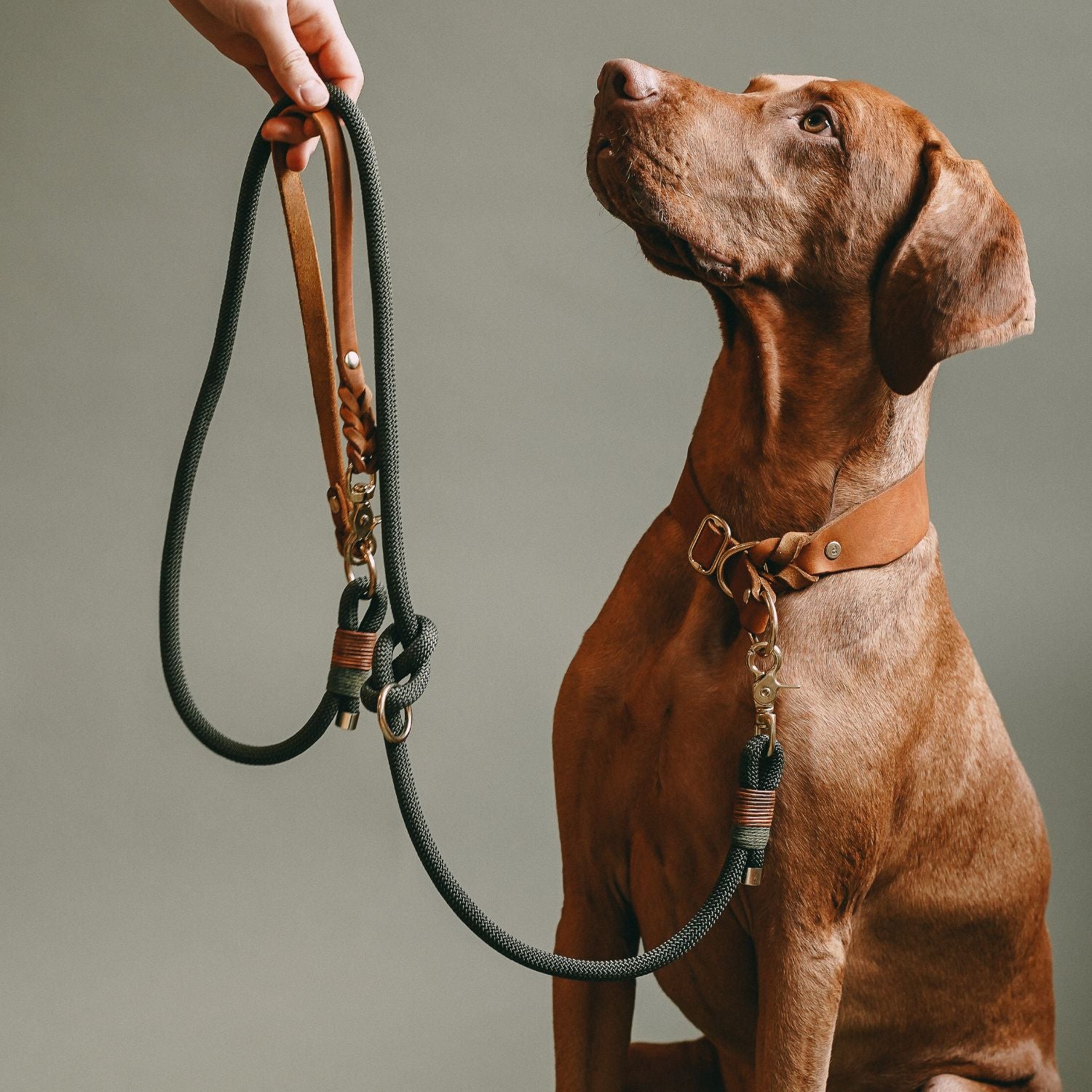 Set | Zugstopp-Halsband & Leine aus Fettleder