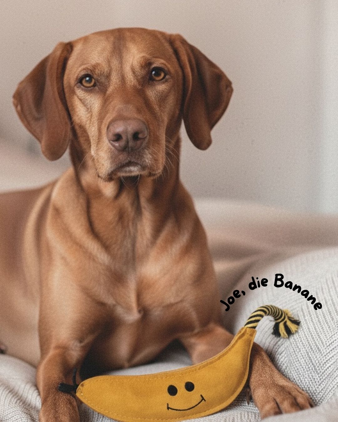 Hundespielzeug "Joe, die Banane" aus Wildleder