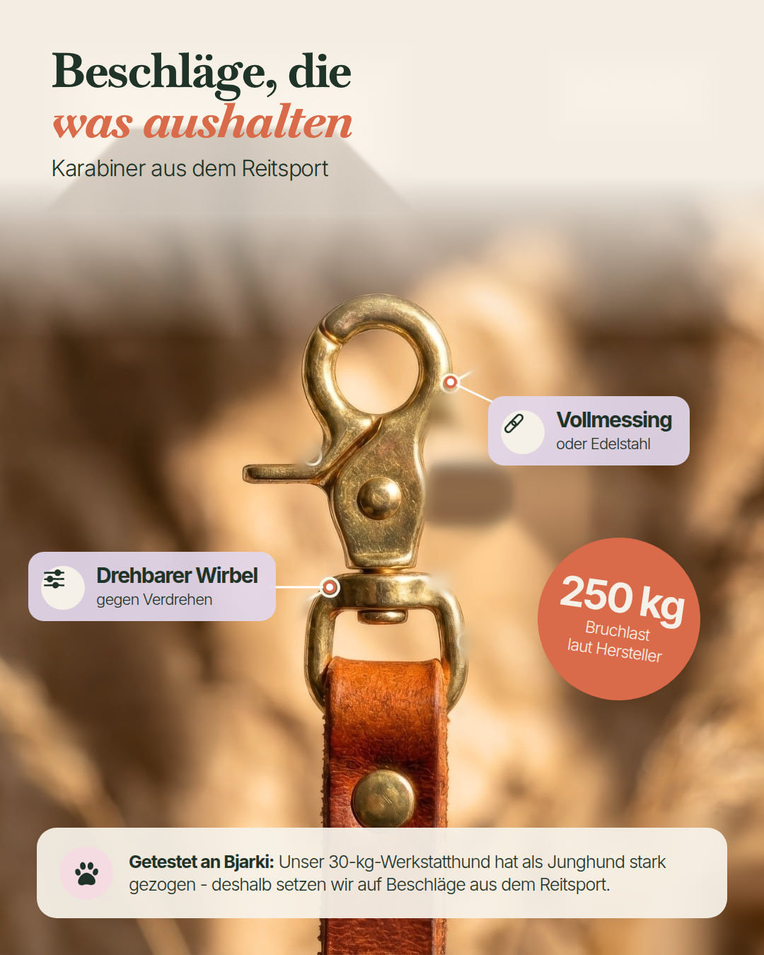 Karabiner der Hundeleine Bjarki in Kastanie aus dem Reitsport mit drehbarem Wirbel, 250 kg Bruchlast laut Hersteller
