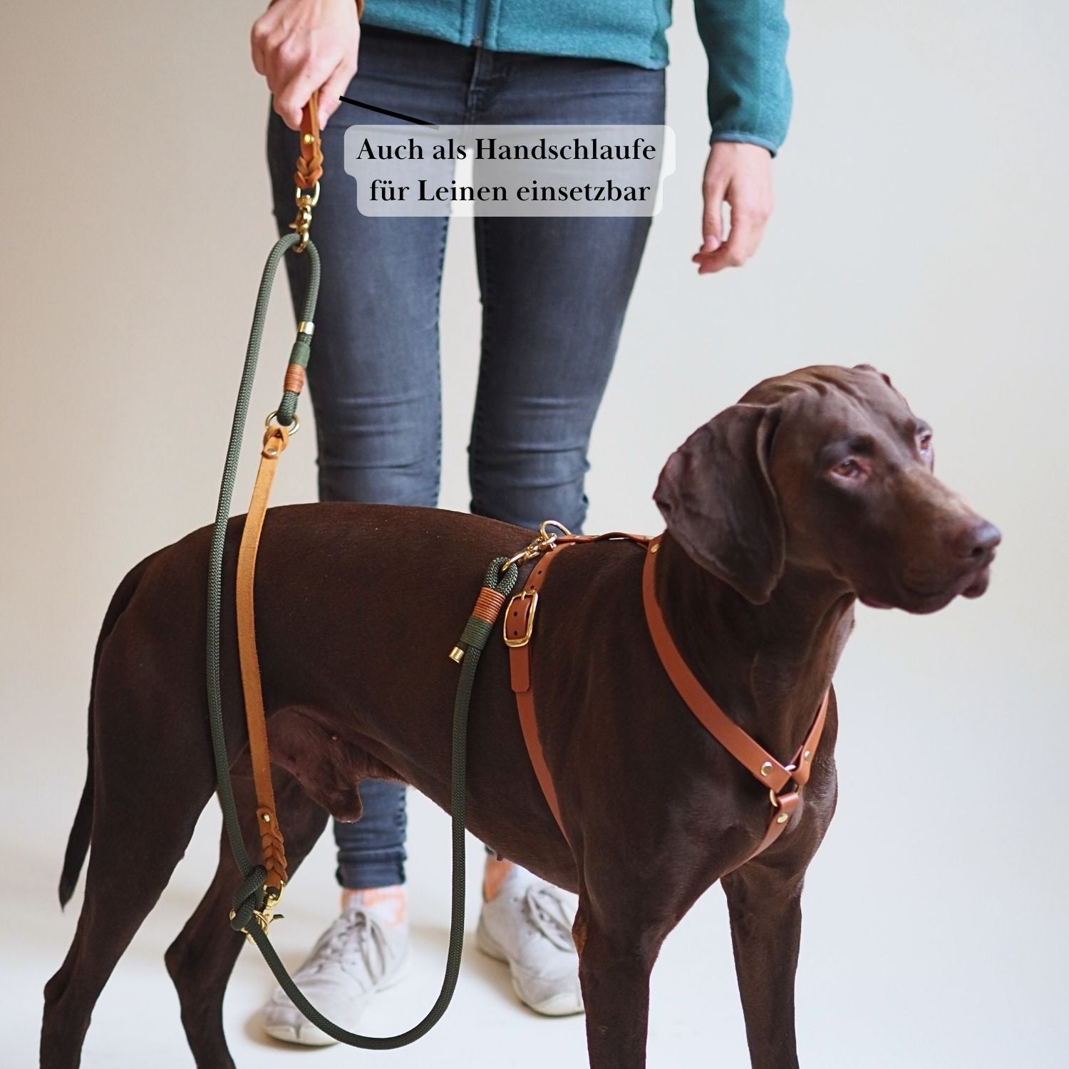 Kurzführer/Hausleine aus Leder