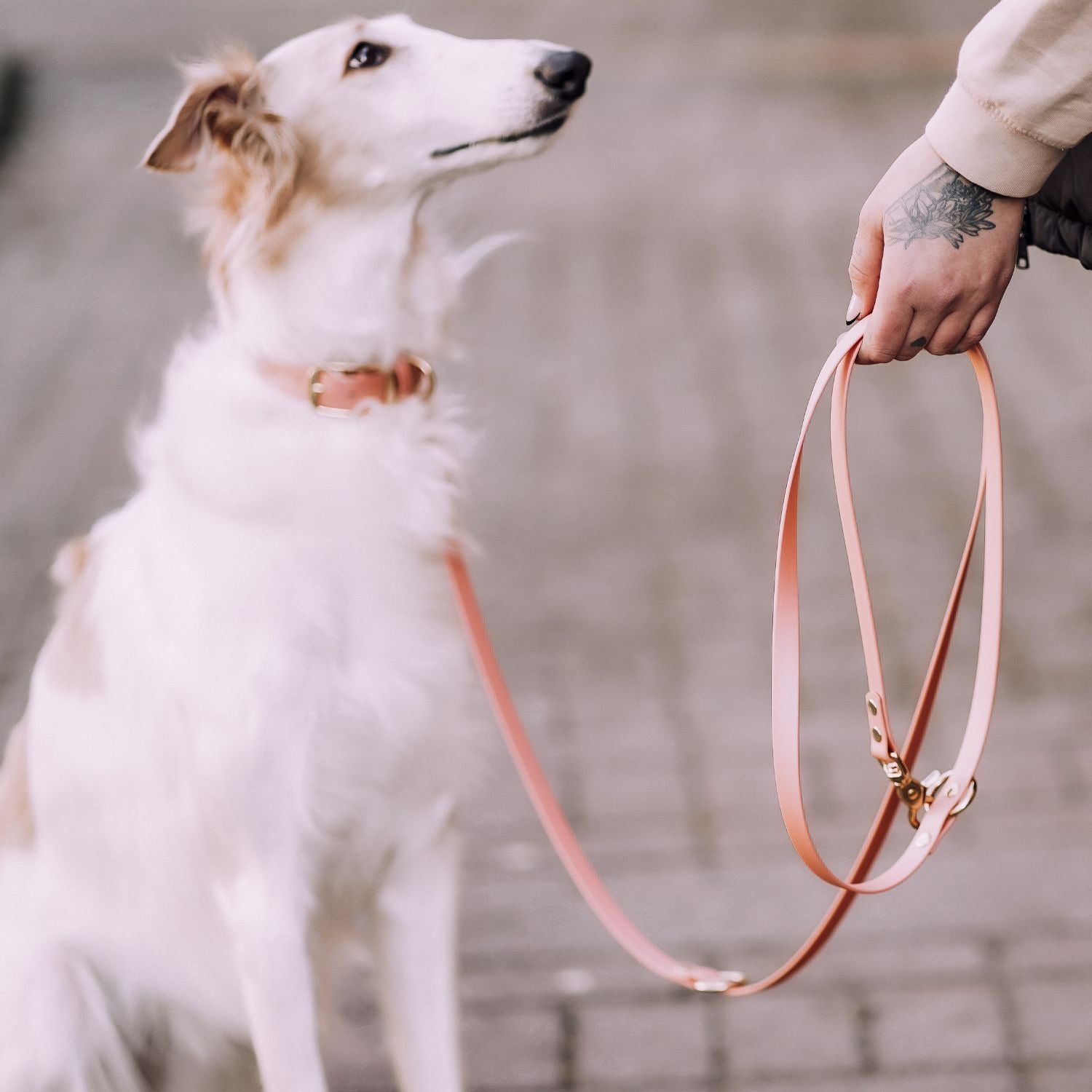 Set | Halsband & Leine aus Biothane® 'Rosegold'