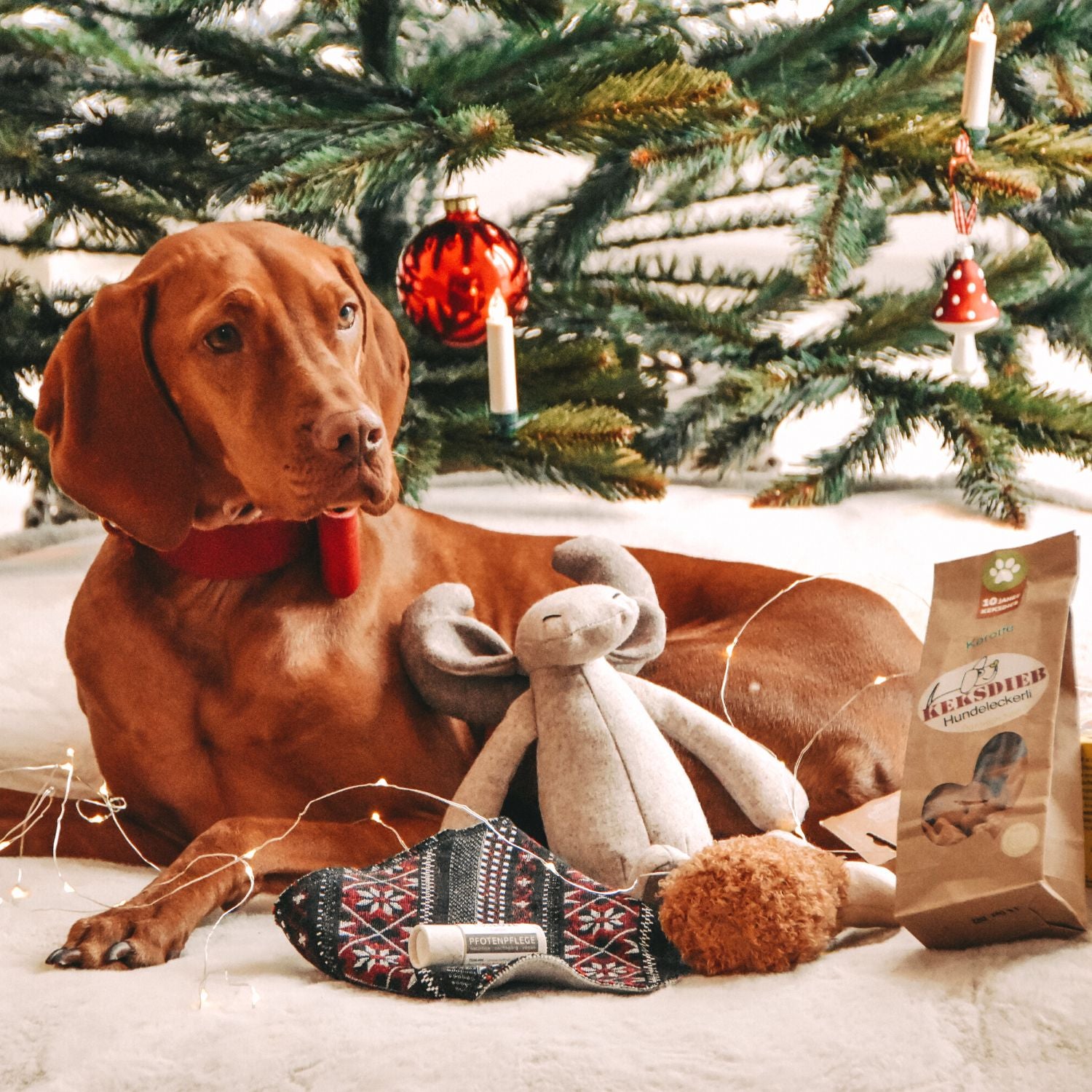 SPECIAL Weihnachts-Geschenk Box