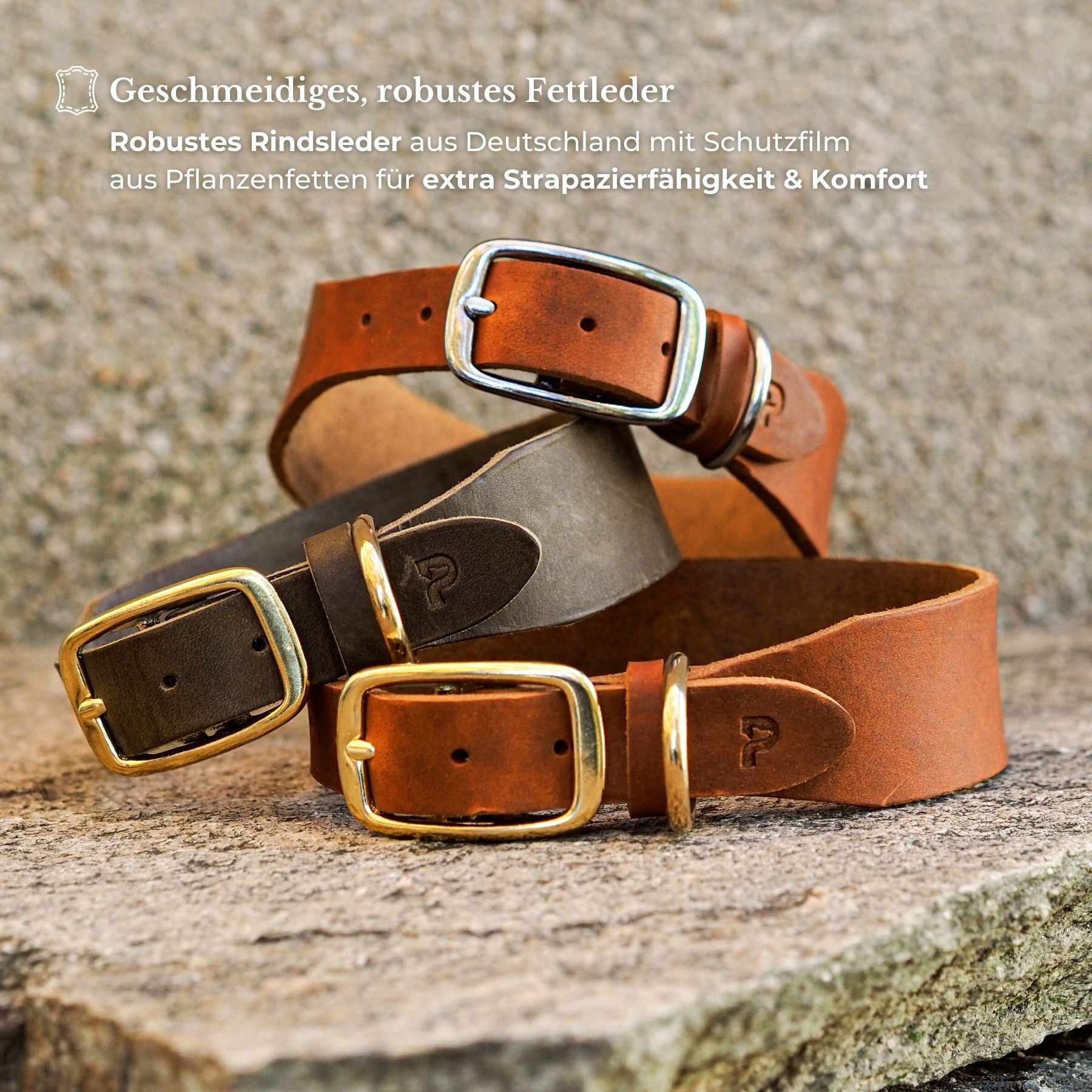 Set | Lederhalsband & Leine in Cognac