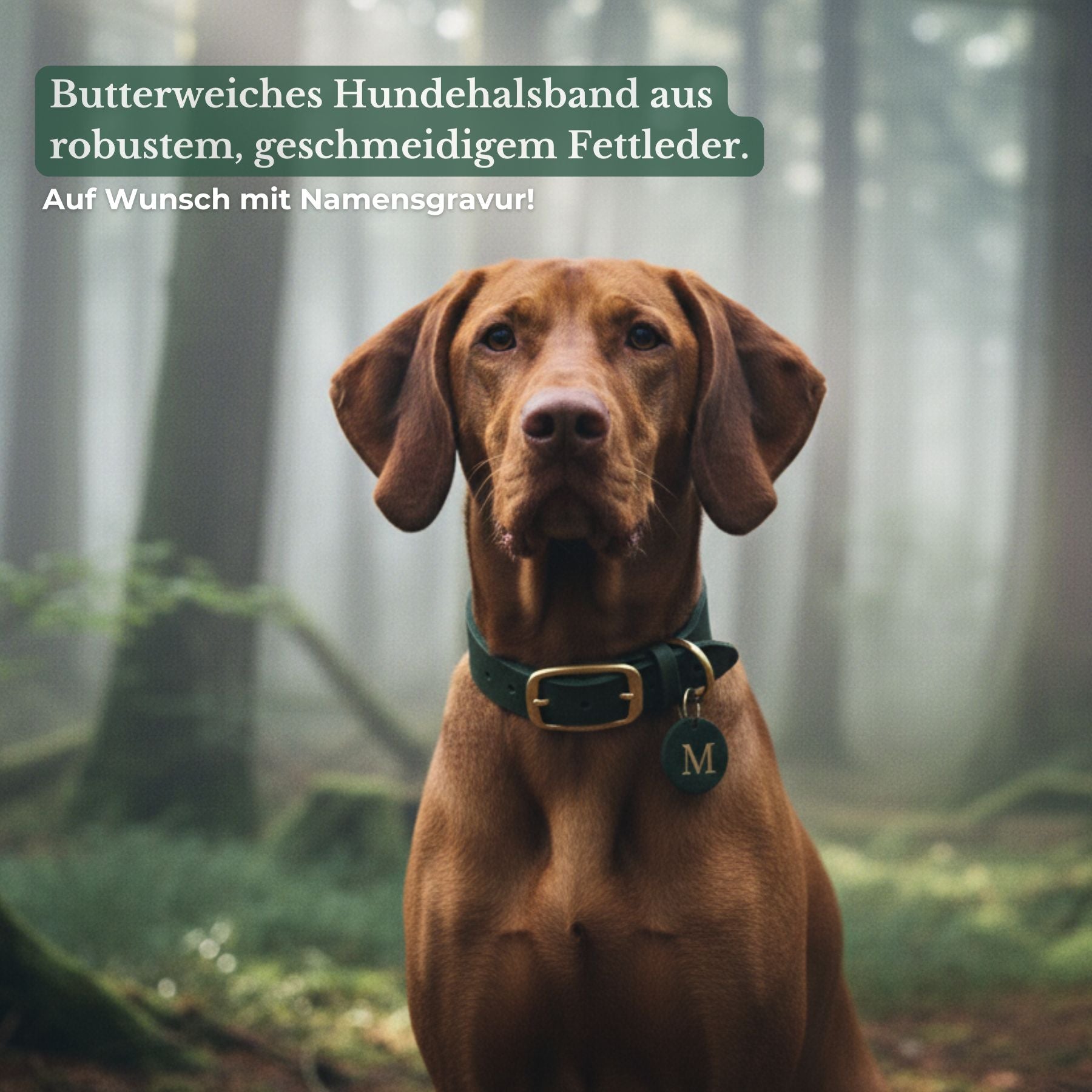 Personalisierbares Lederhalsband mit Name | Petrol