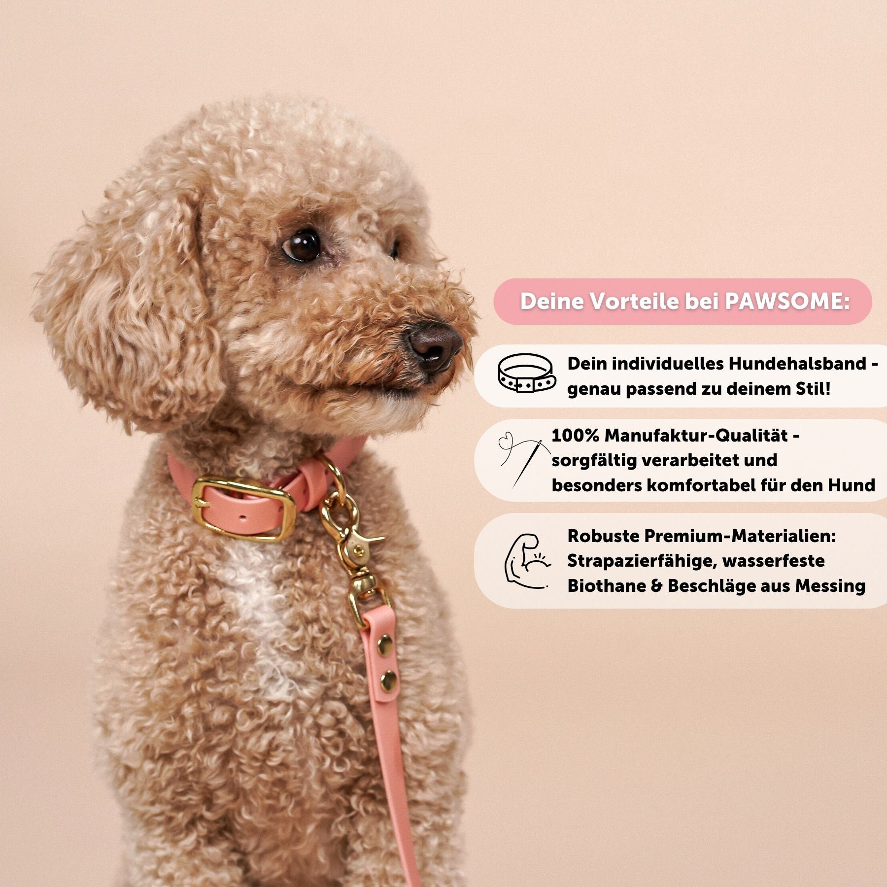 Biothane® Halsband 'Rosegold'