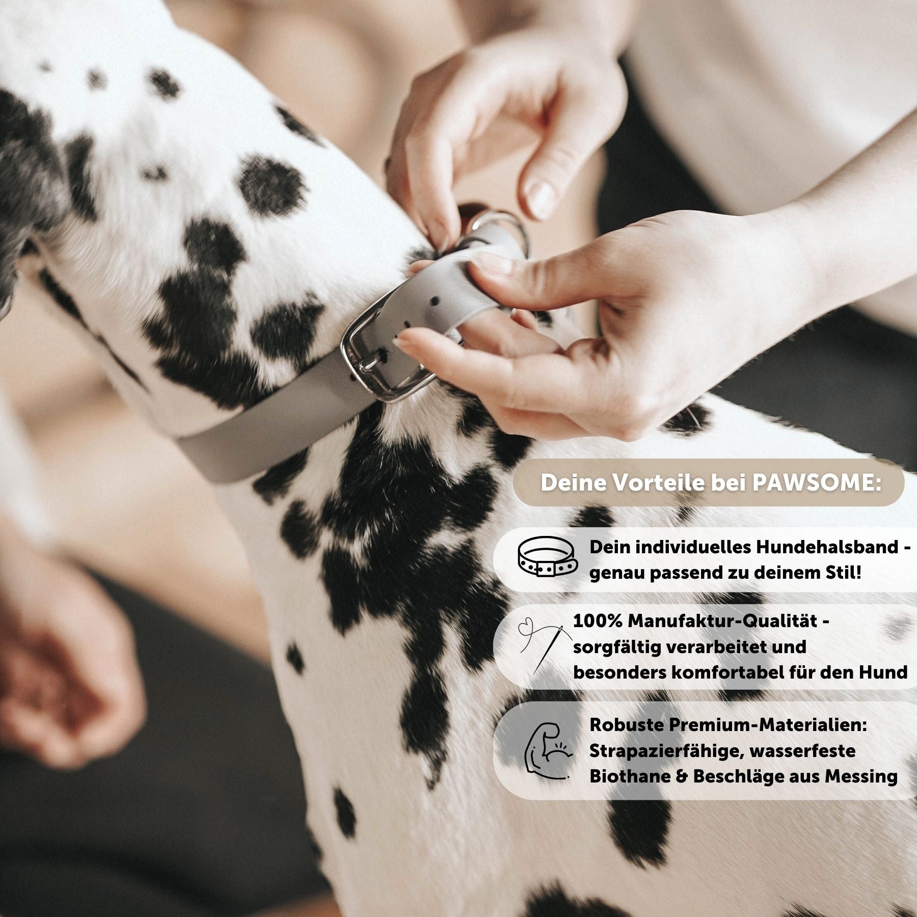Biothane® Halsband 'Stahlgrau'