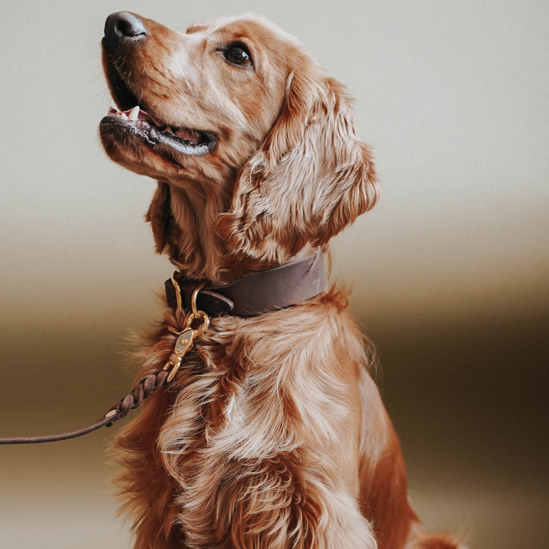 Personalisierbares Lederhalsband mit Name | Kastanie