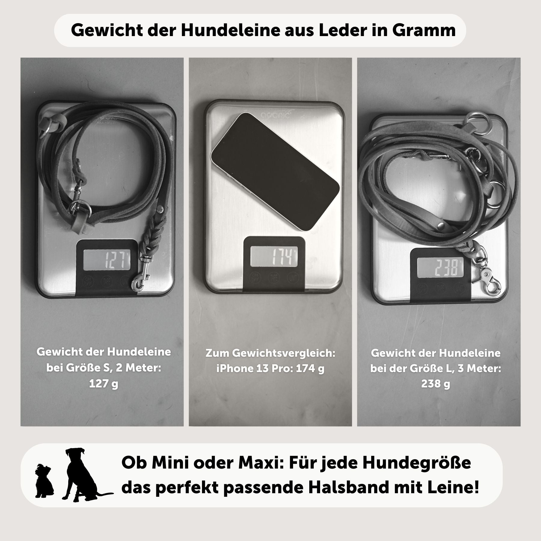 Lederleine 'Bjarki' in Schwarz