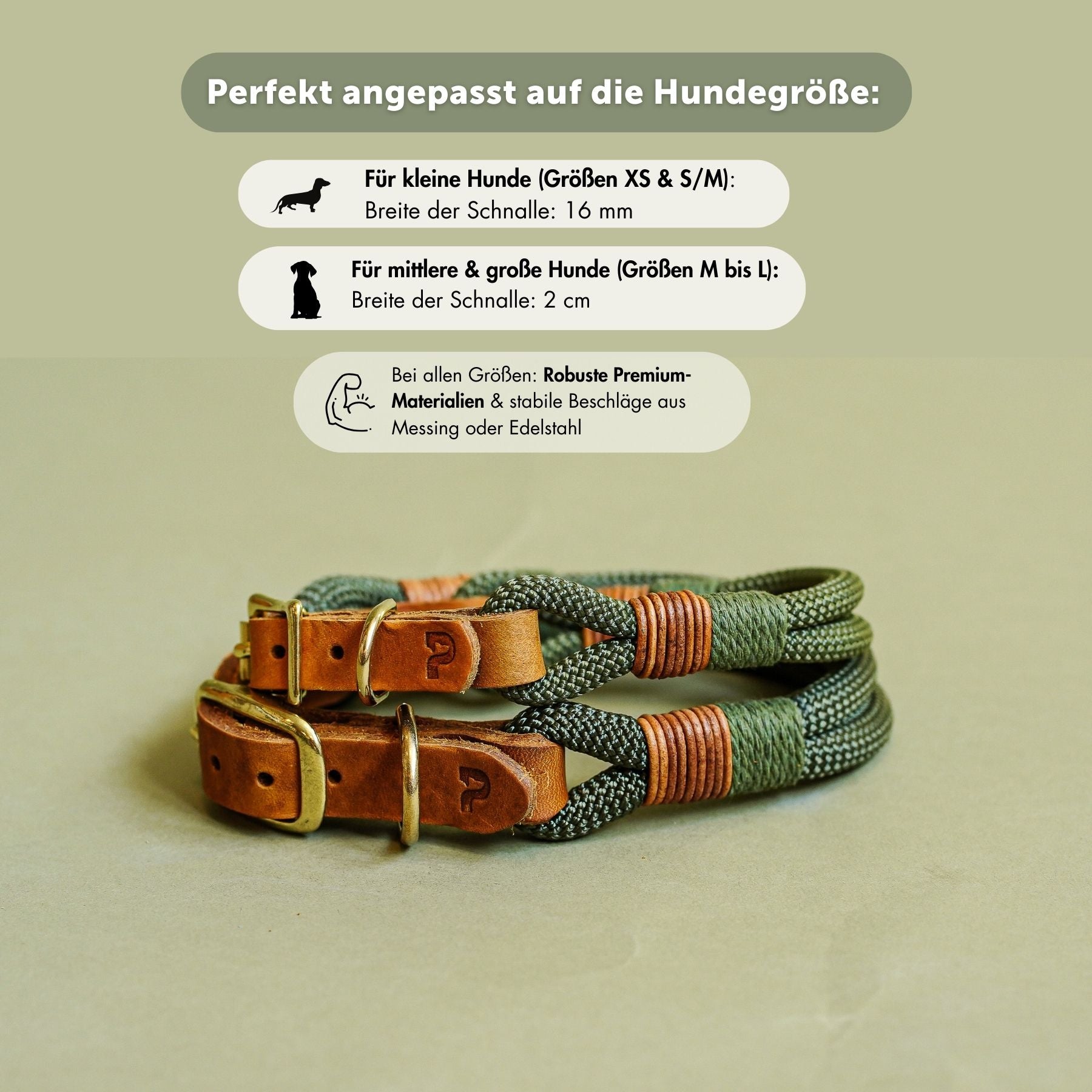 Set | Halsband & Leine 'Forest Green'