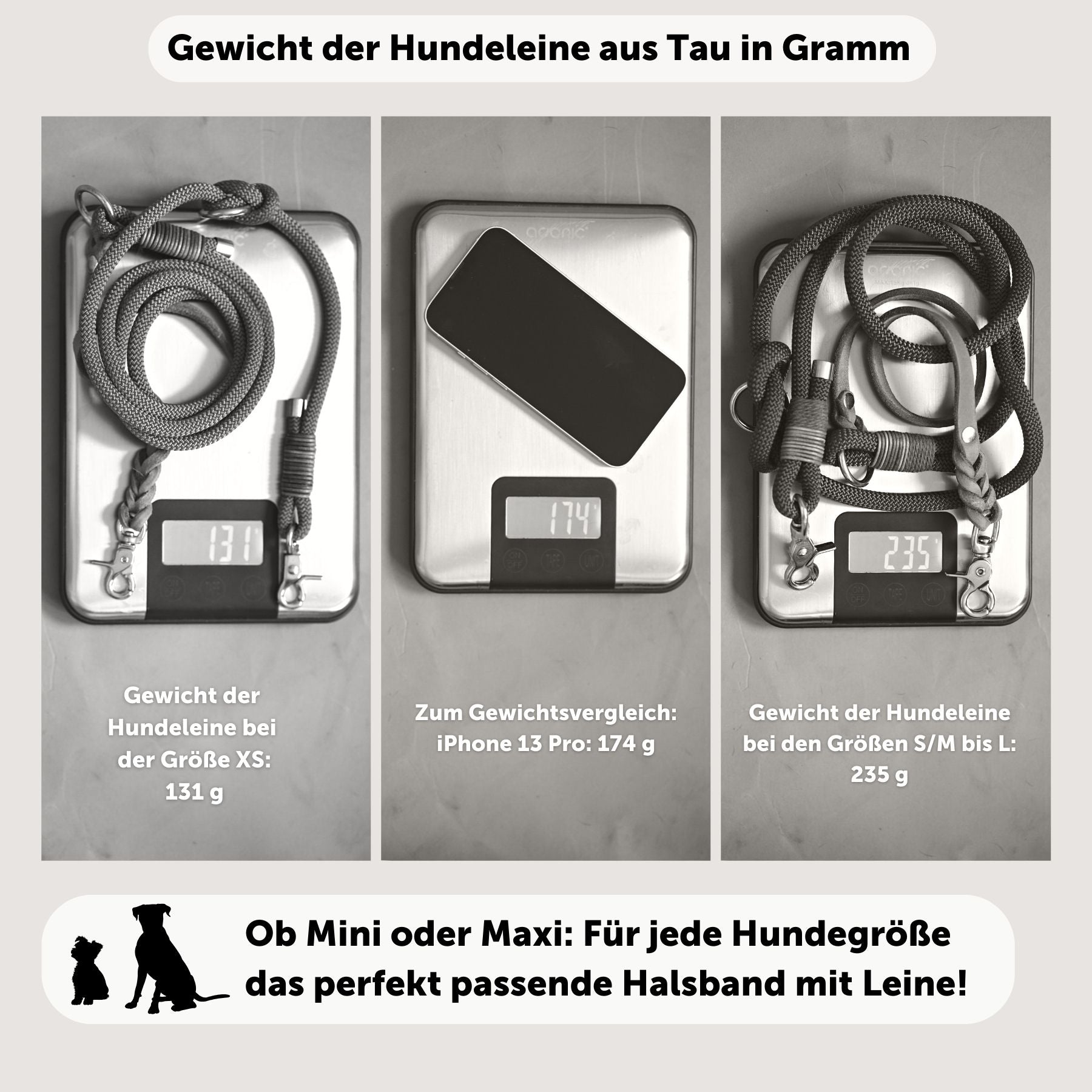 Frühlings-Aktion | Lederhalsband & Tauleine 'Olive Grove' + GRATIS Gravur + Schlüsselanhänger