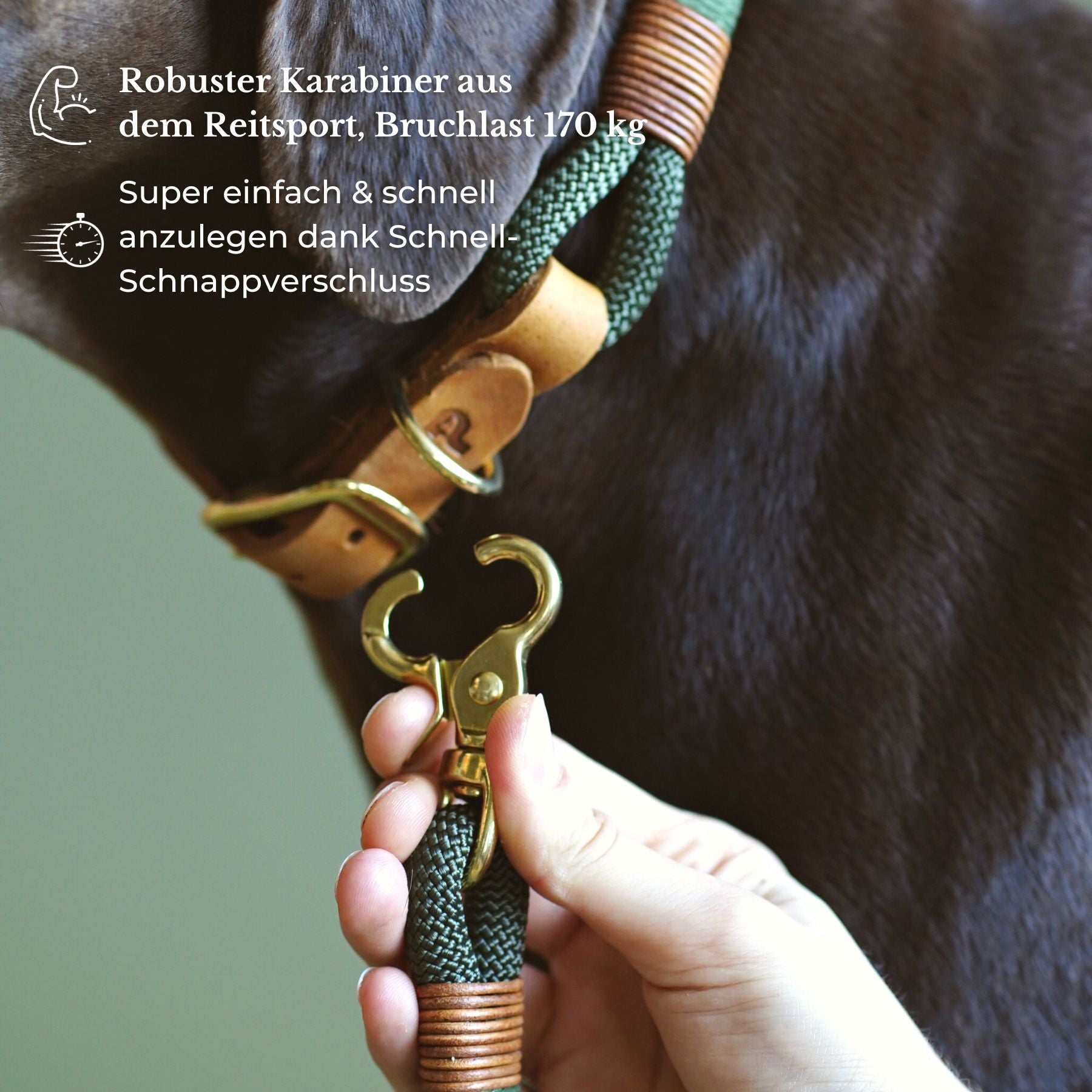 Birthday Deal | Halsband & Leine 'Olive Grove' + GRATIS T-Shirt