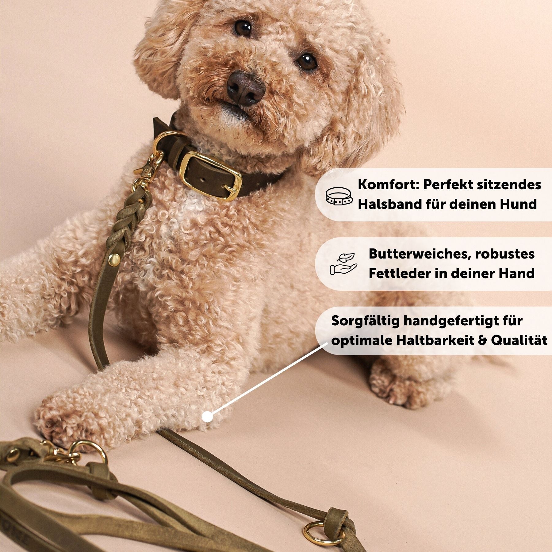 Personalisierbares Lederhalsband mit Name | Olive