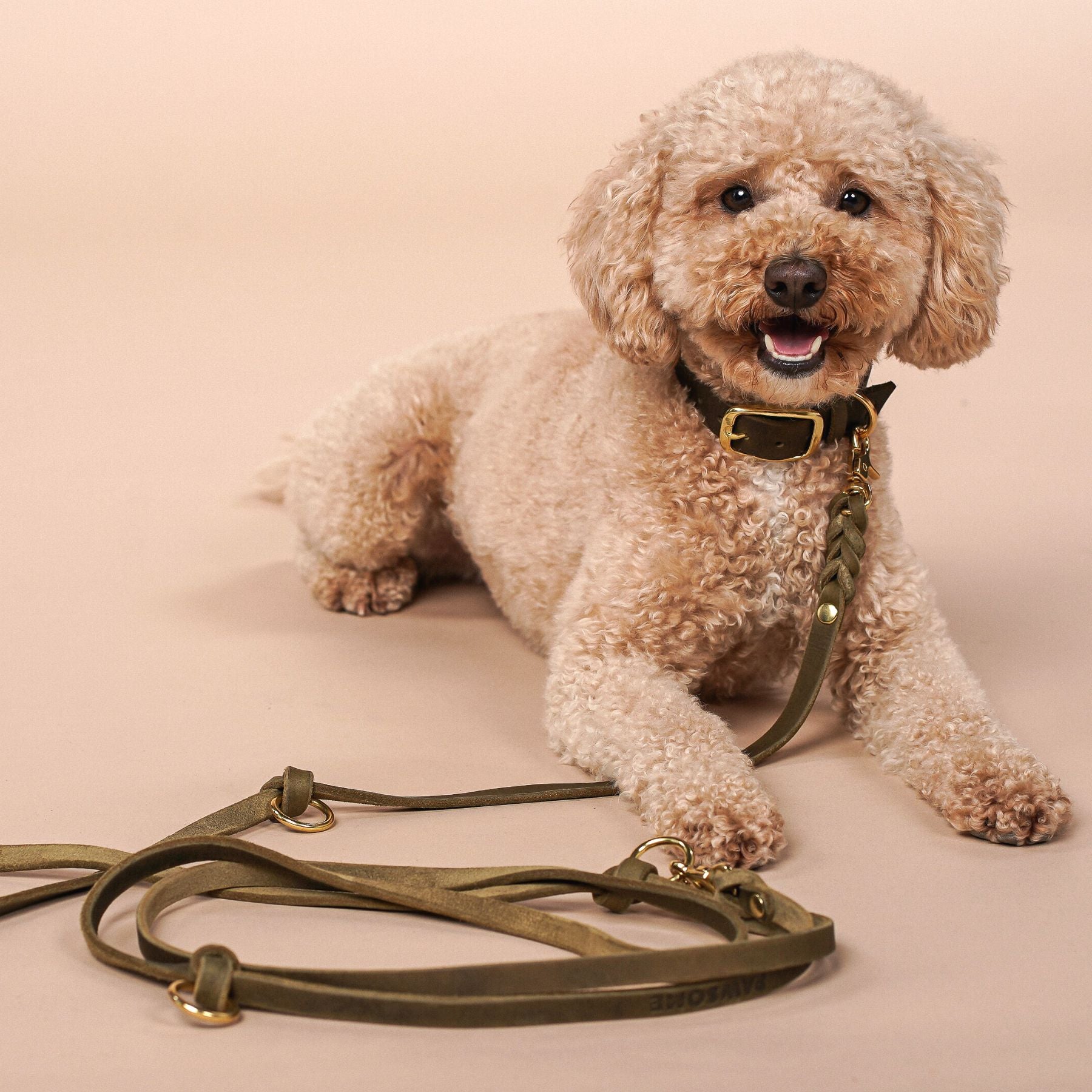 Set | Lederhalsband & Leine in Olive