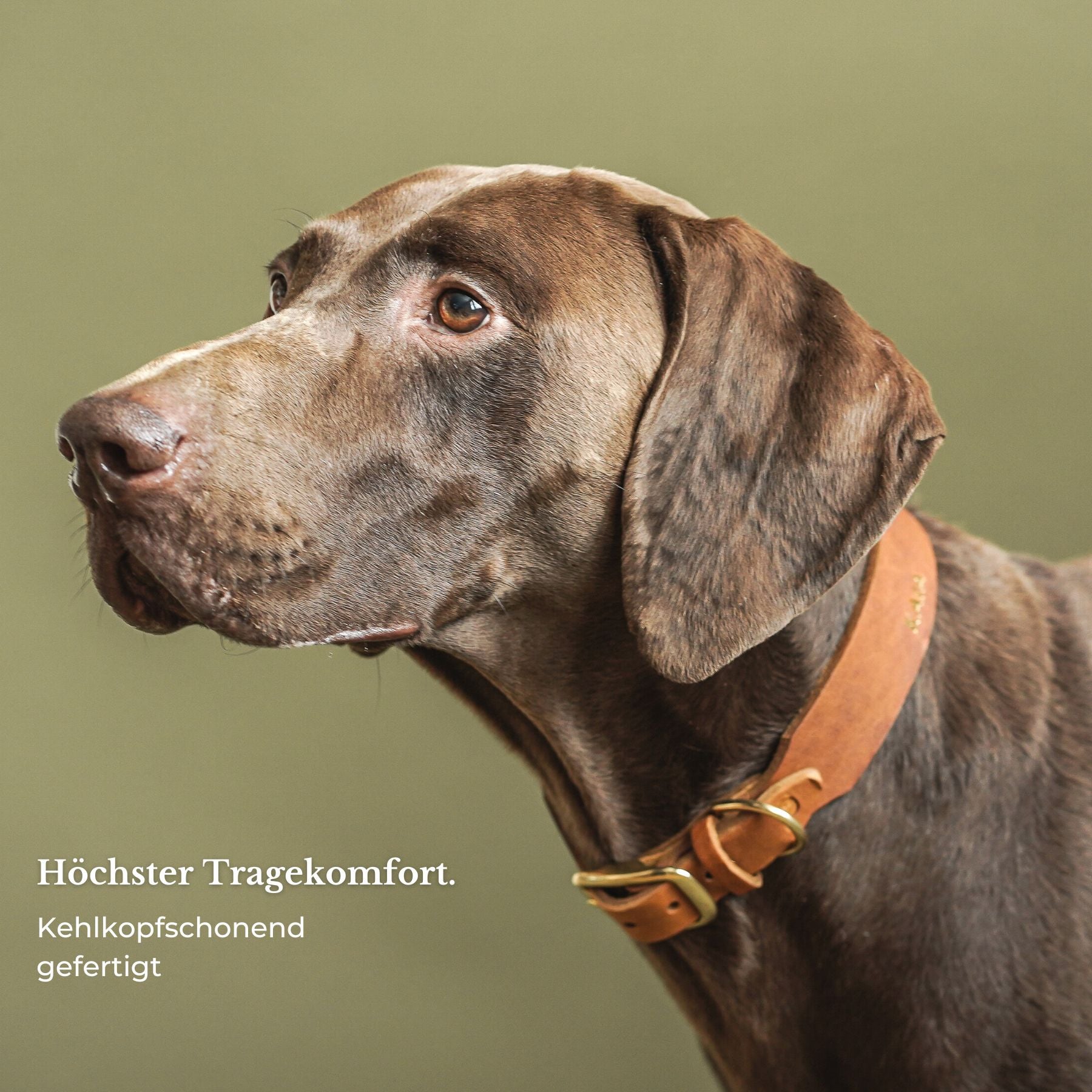 Personalisierbares Lederhalsband mit Name | Cognac