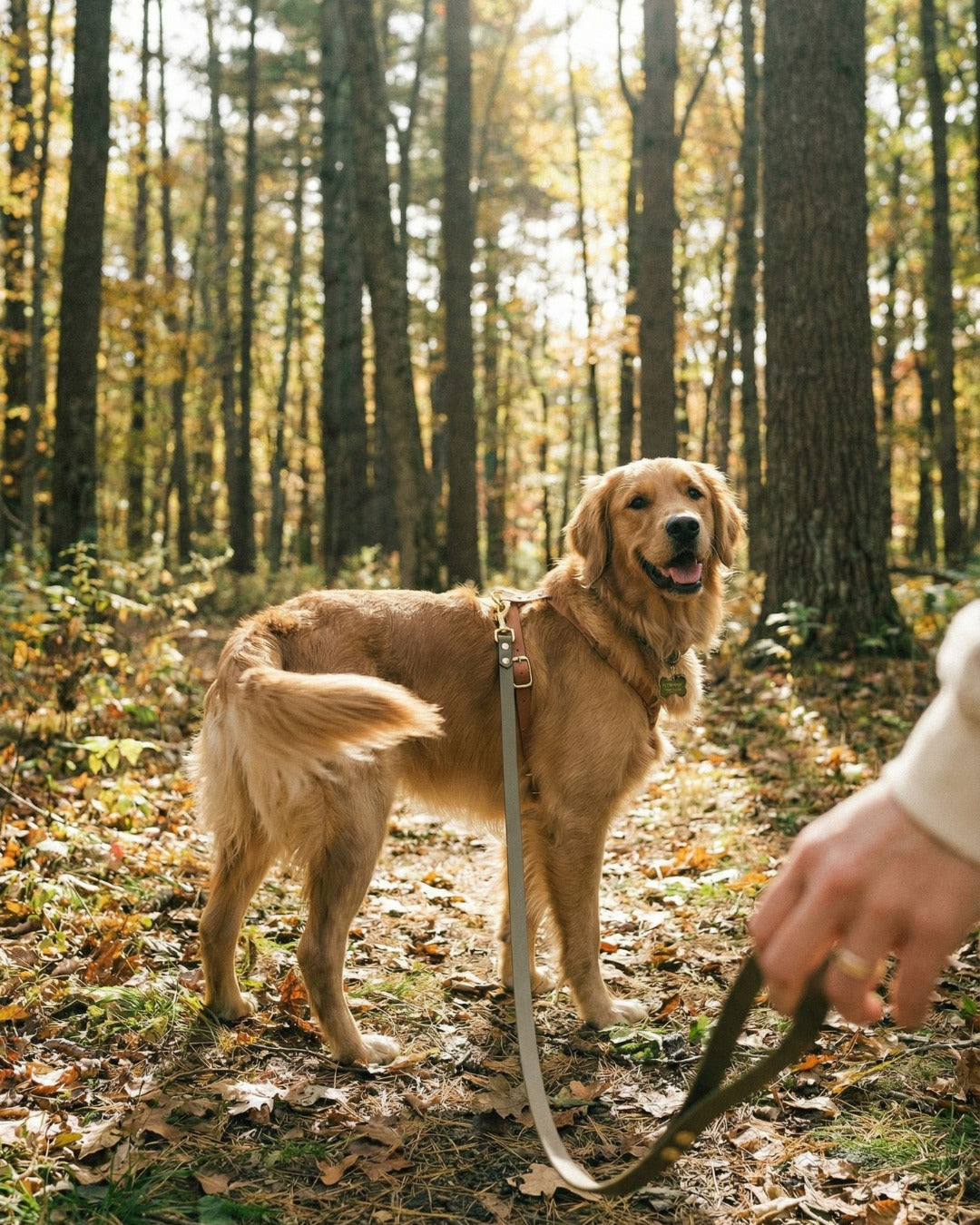 Wasserfeste Schleppleine aus Biothane